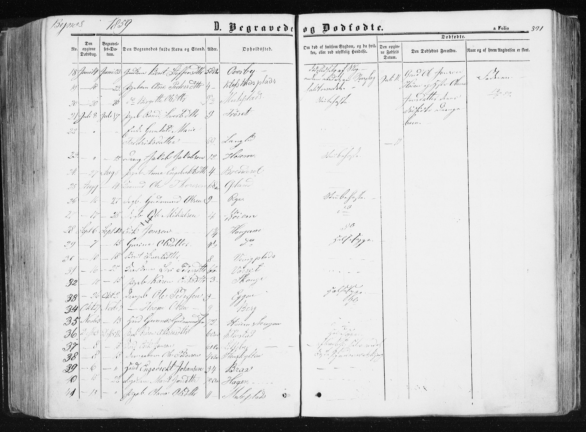 Ministerialprotokoller, klokkerbøker og fødselsregistre - Sør-Trøndelag, SAT/A-1456/612/L0377: Parish register (official) no. 612A09, 1859-1877, p. 391