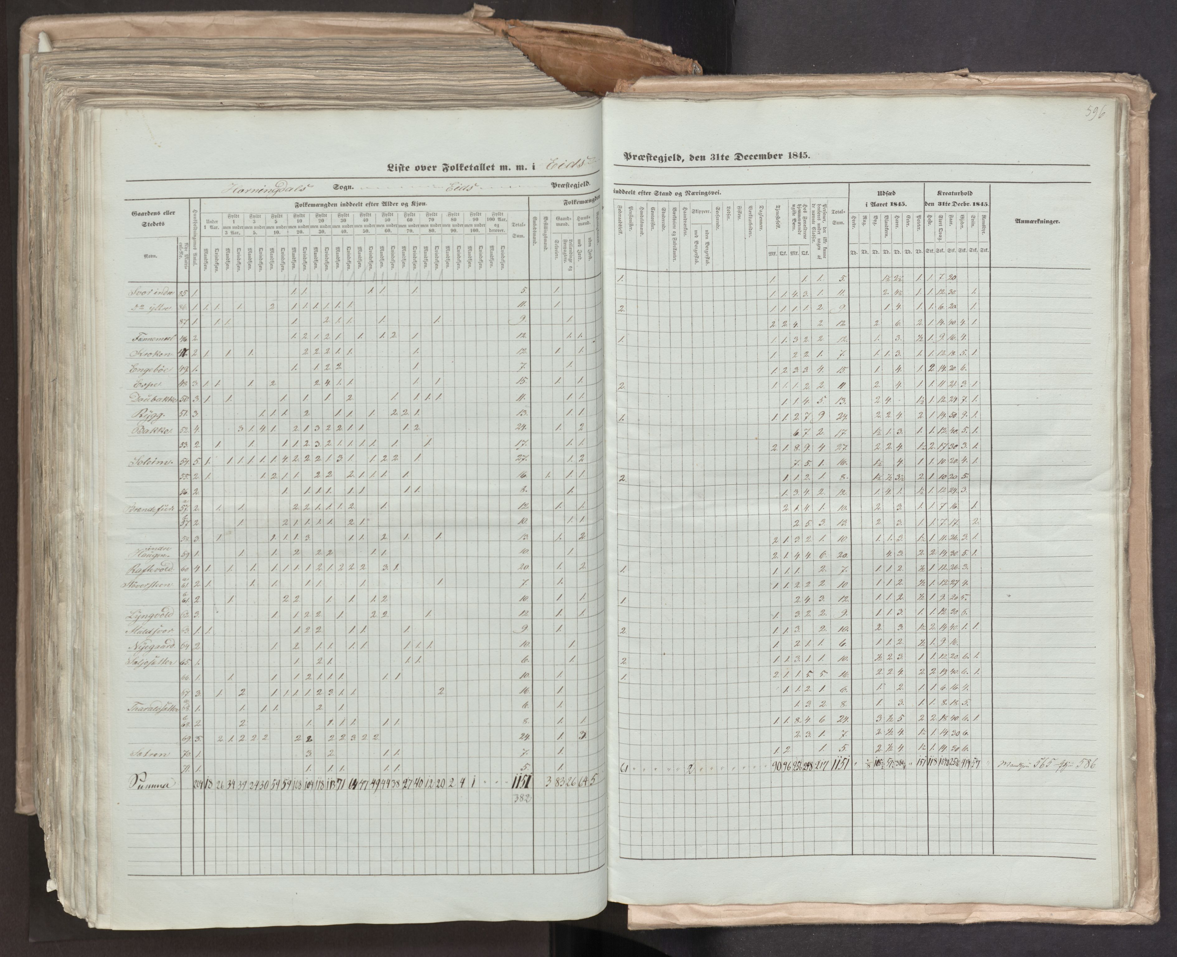 RA, Census 1845, vol. 7: Søndre Bergenhus amt og Nordre Bergenhus amt, 1845, p. 596