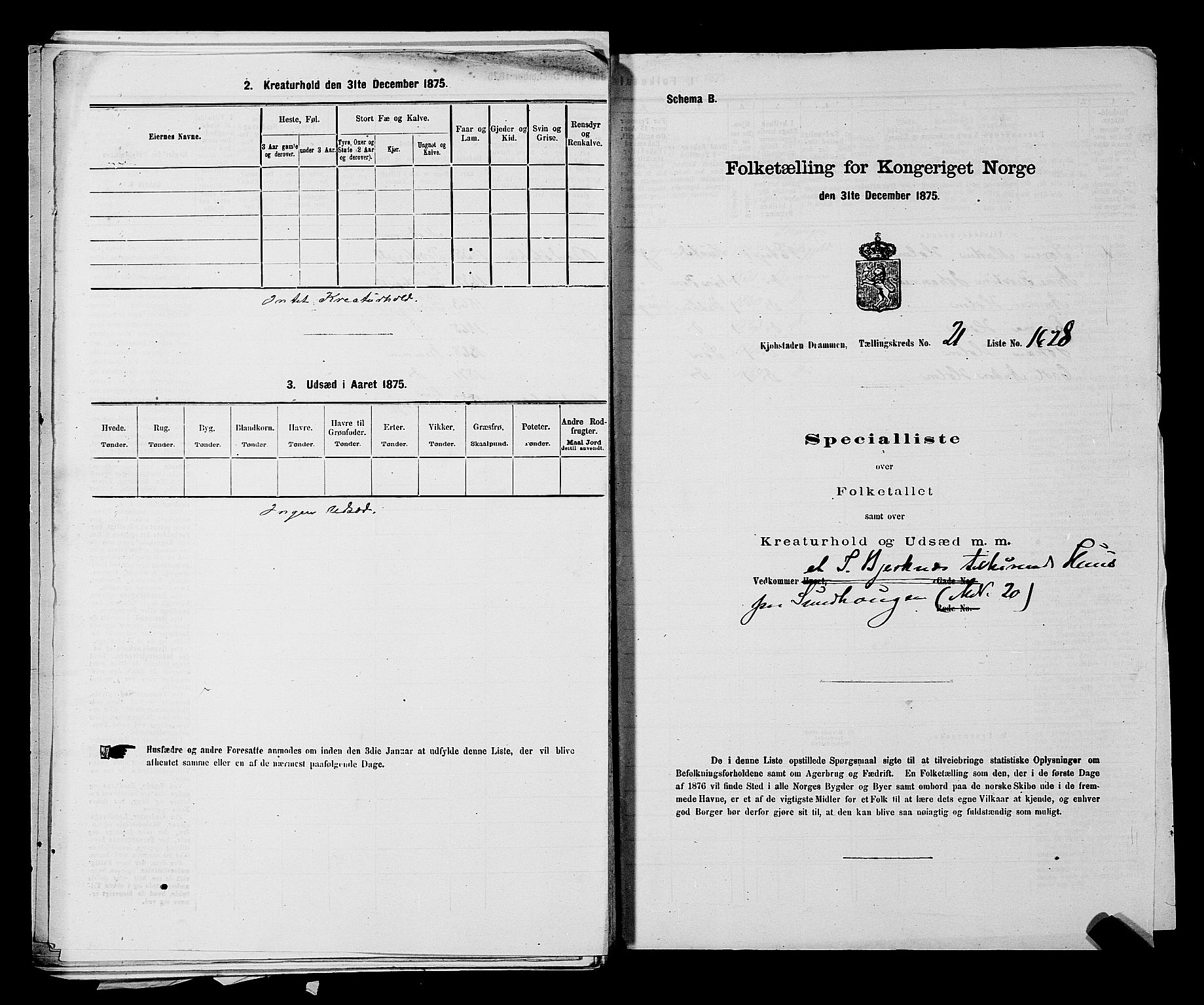 SAKO, 1875 census for 0602 Drammen, 1875, p. 2161