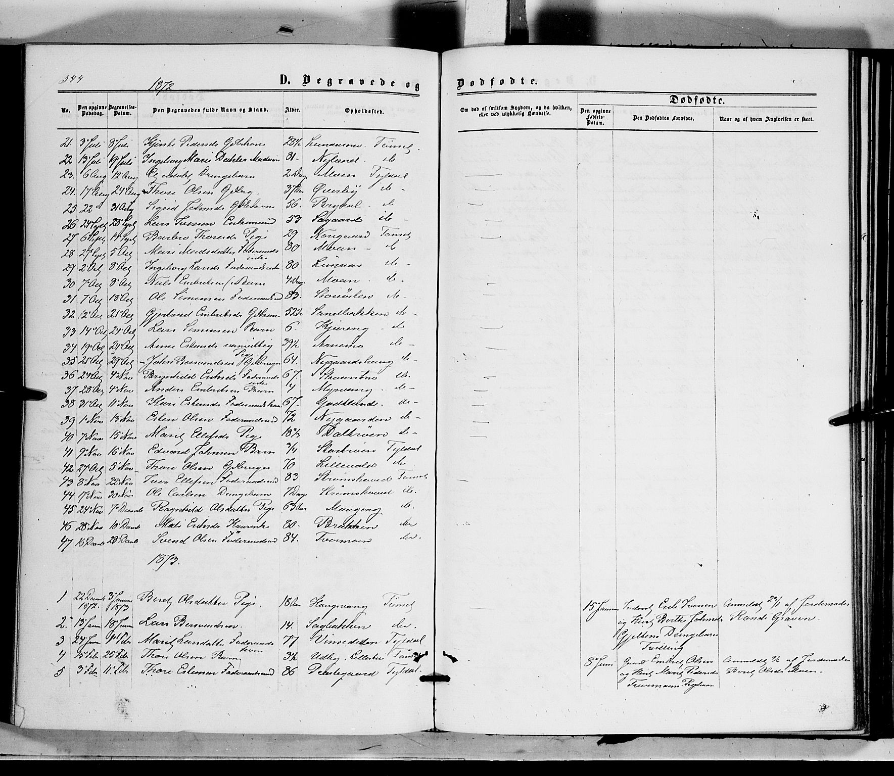 Tynset prestekontor, AV/SAH-PREST-058/H/Ha/Haa/L0021: Parish register (official) no. 21, 1863-1879, p. 344