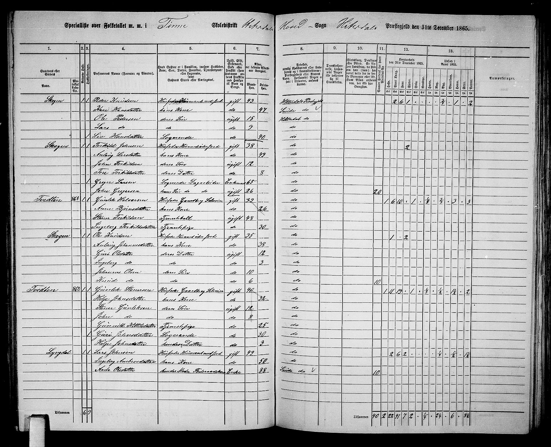 RA, 1865 census for Heddal, 1865, p. 84