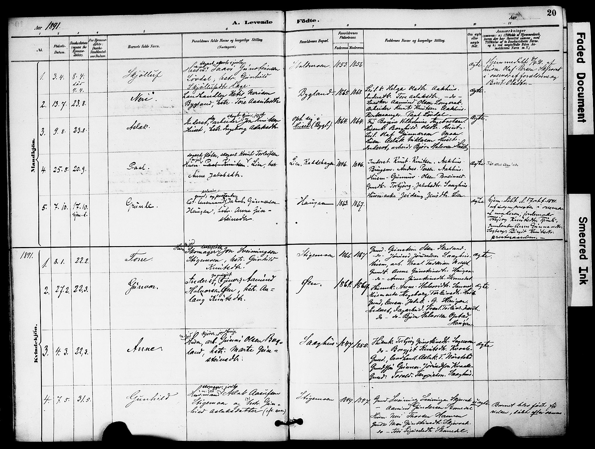 Bygland sokneprestkontor, AV/SAK-1111-0006/F/Fa/Fab/L0007: Parish register (official) no. A 7, 1885-1909, p. 20