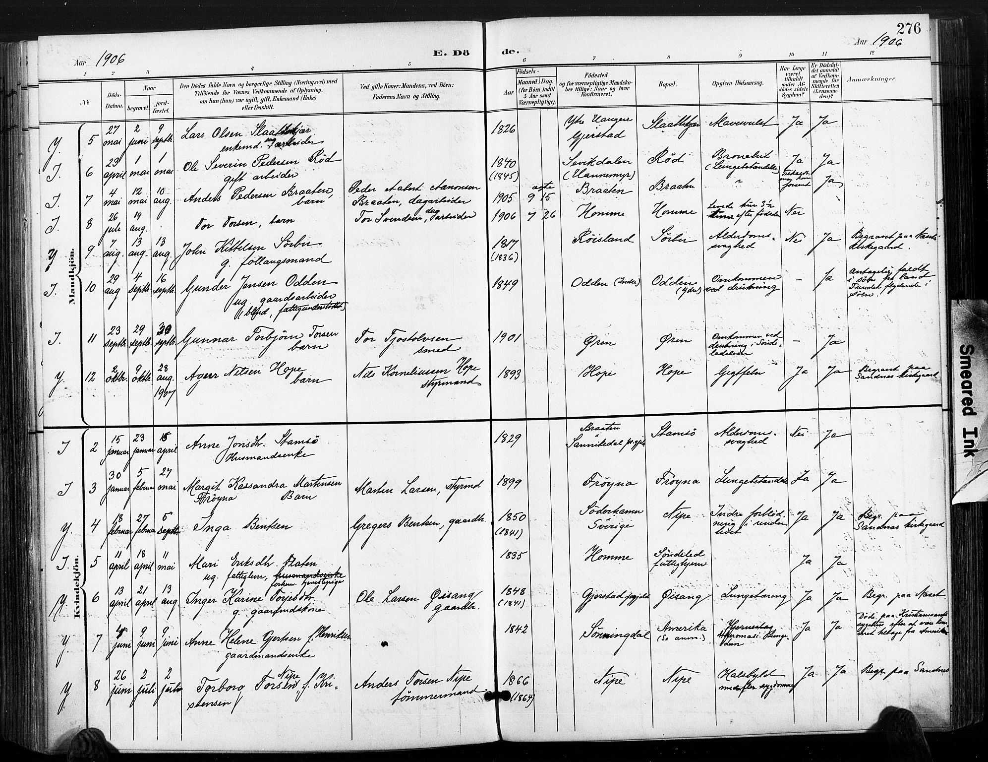 Søndeled sokneprestkontor, AV/SAK-1111-0038/F/Fa/L0006: Parish register (official) no. A 6, 1900-1922, p. 276