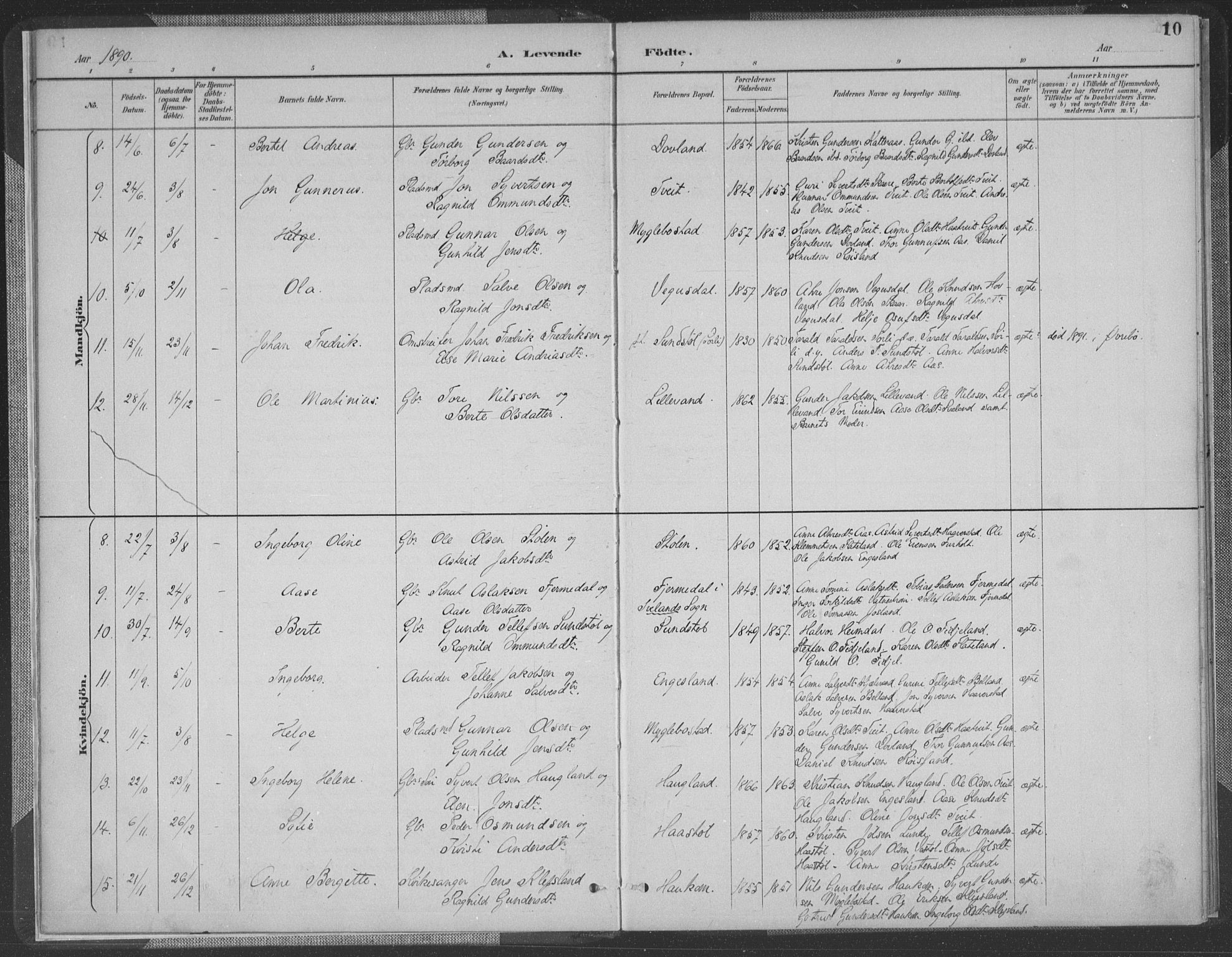 Herefoss sokneprestkontor, AV/SAK-1111-0019/F/Fa/Fab/L0004: Parish register (official) no. A 4, 1887-1909, p. 10