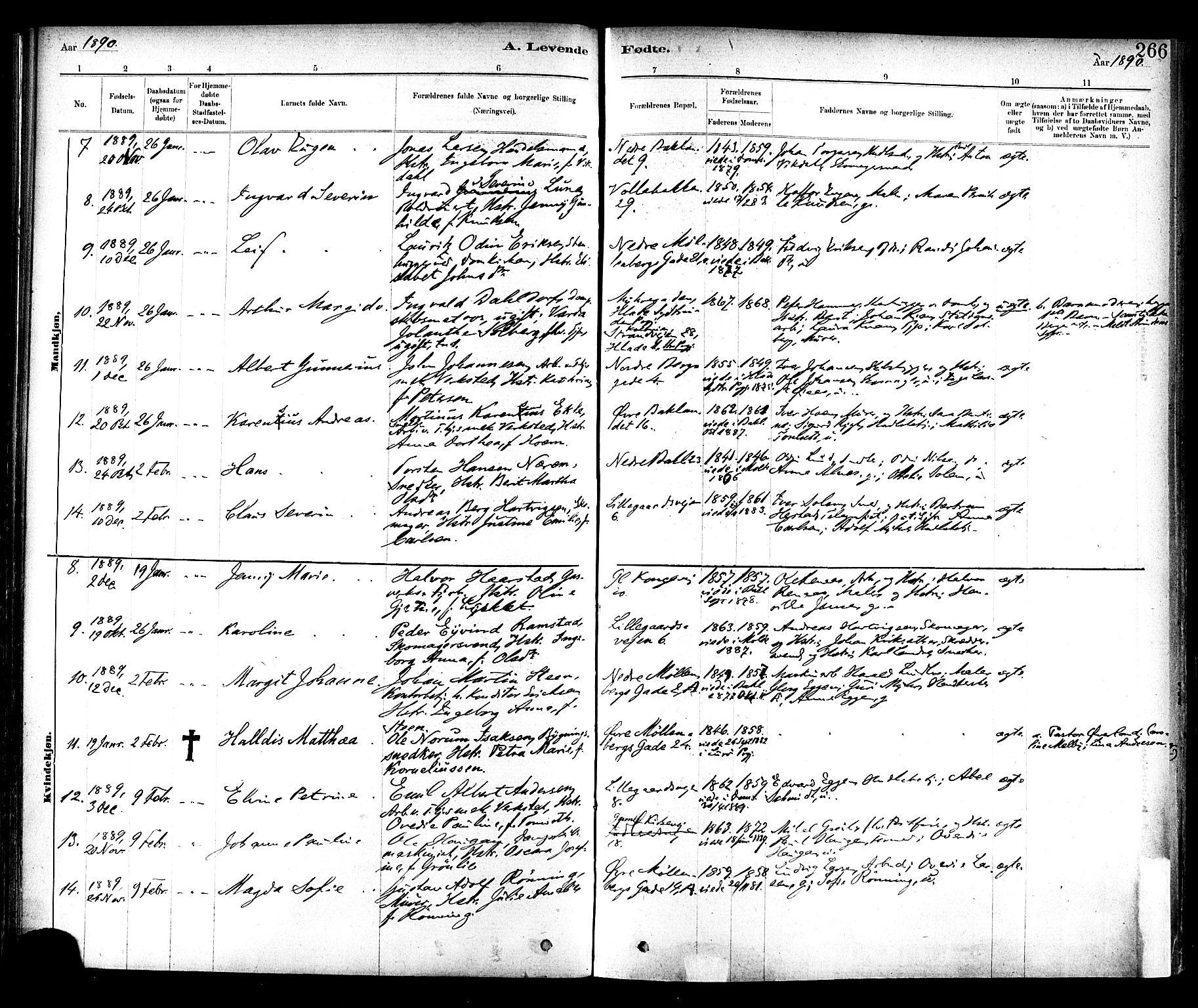 Ministerialprotokoller, klokkerbøker og fødselsregistre - Sør-Trøndelag, SAT/A-1456/604/L0188: Parish register (official) no. 604A09, 1878-1892, p. 266