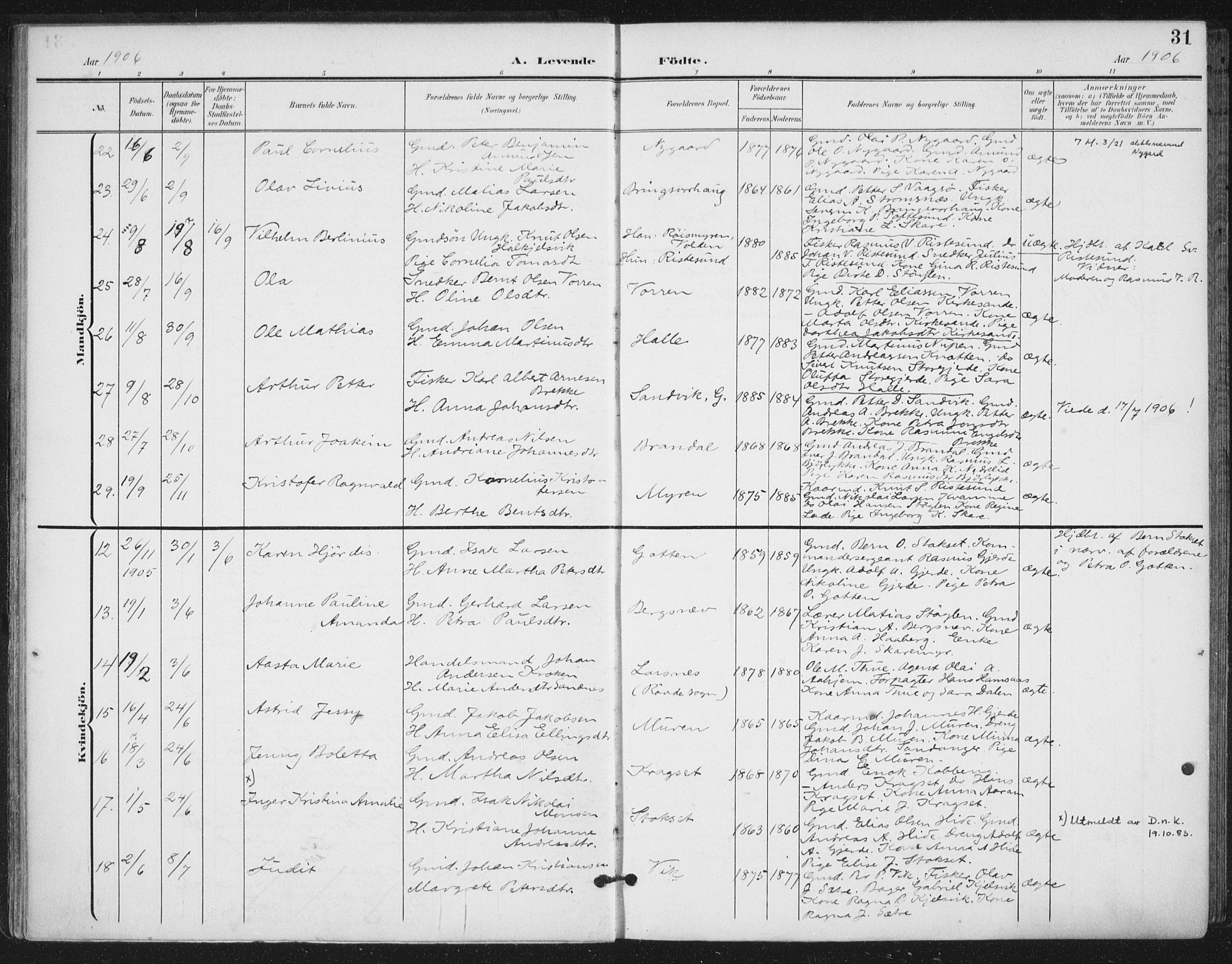 Ministerialprotokoller, klokkerbøker og fødselsregistre - Møre og Romsdal, AV/SAT-A-1454/503/L0038: Parish register (official) no. 503A06, 1901-1917, p. 31