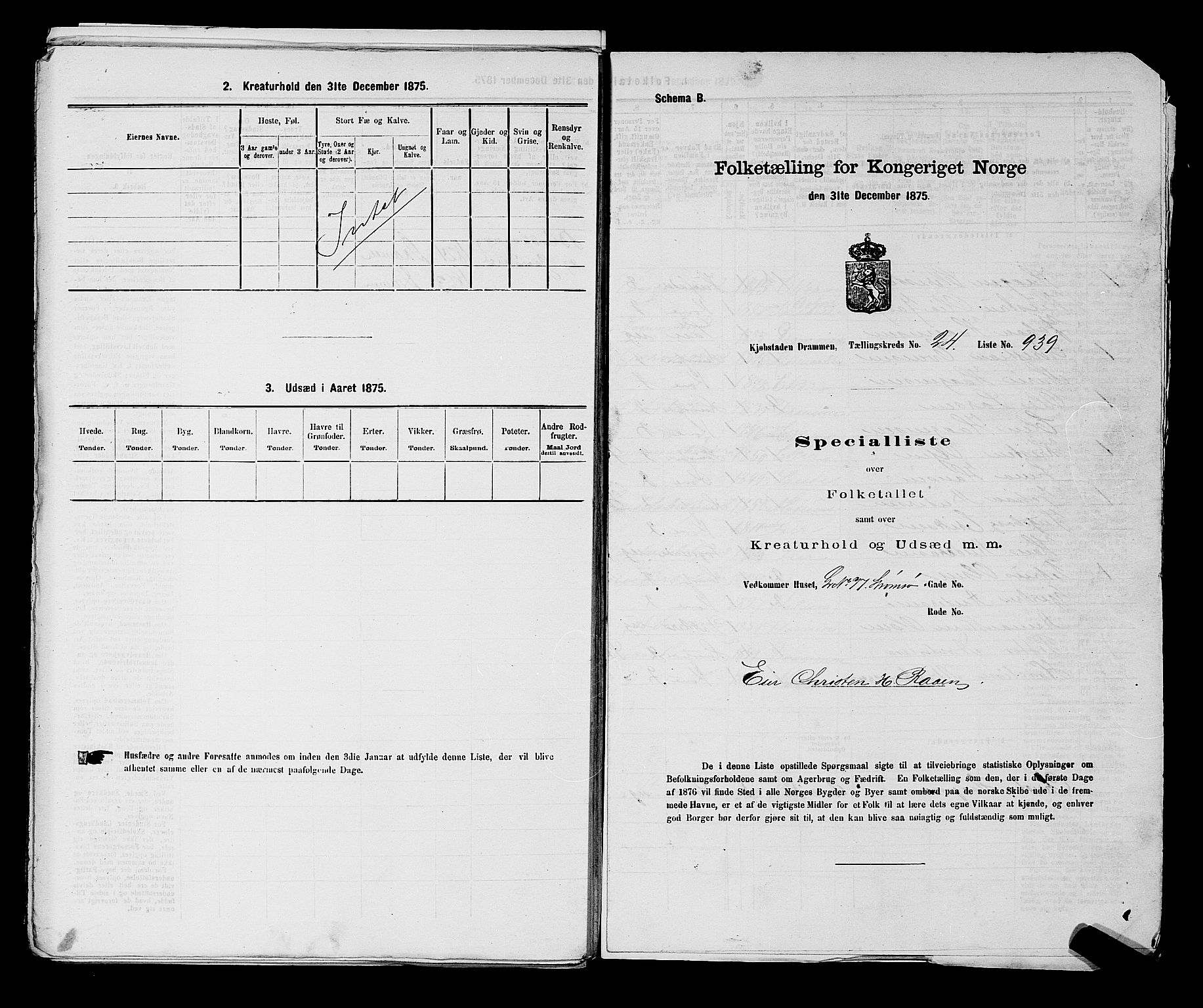 SAKO, 1875 census for 0602 Drammen, 1875, p. 2539