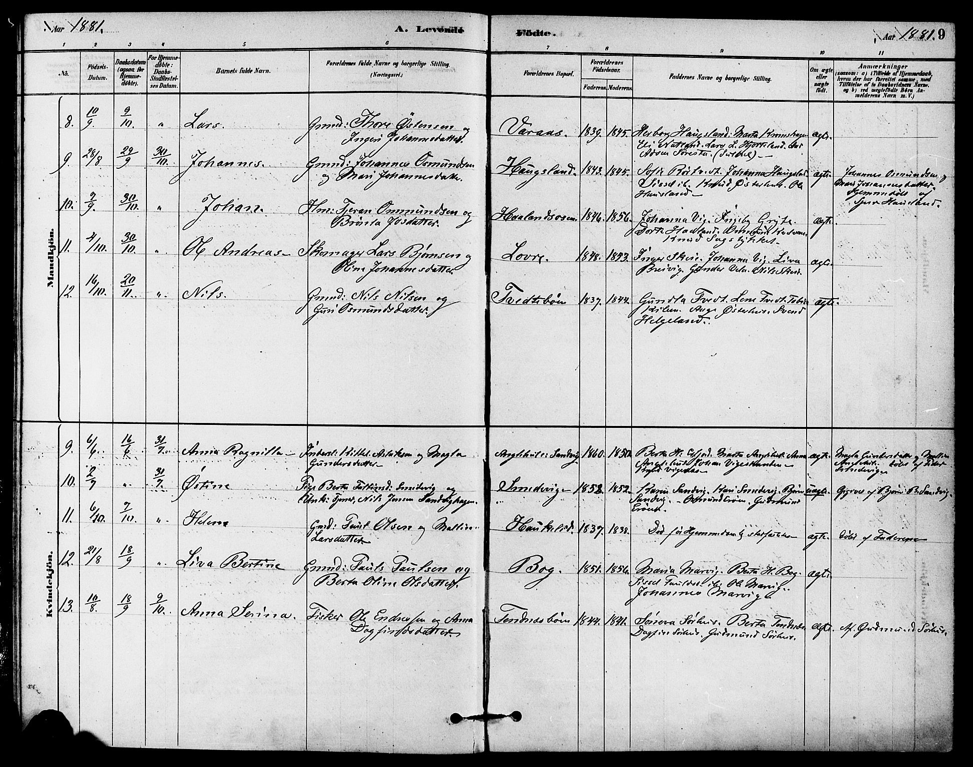 Jelsa sokneprestkontor, AV/SAST-A-101842/01/IV: Parish register (official) no. A 9, 1878-1898, p. 9