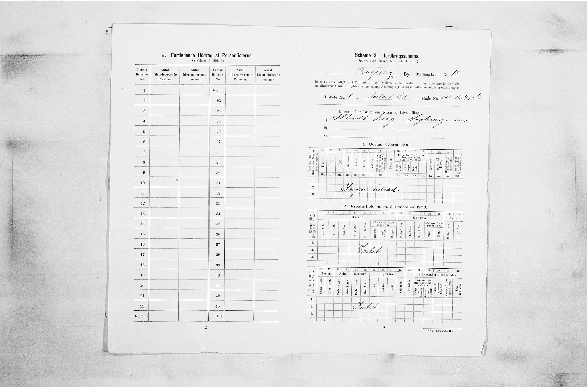 RA, 1900 census for Kongsberg, 1900, p. 3581