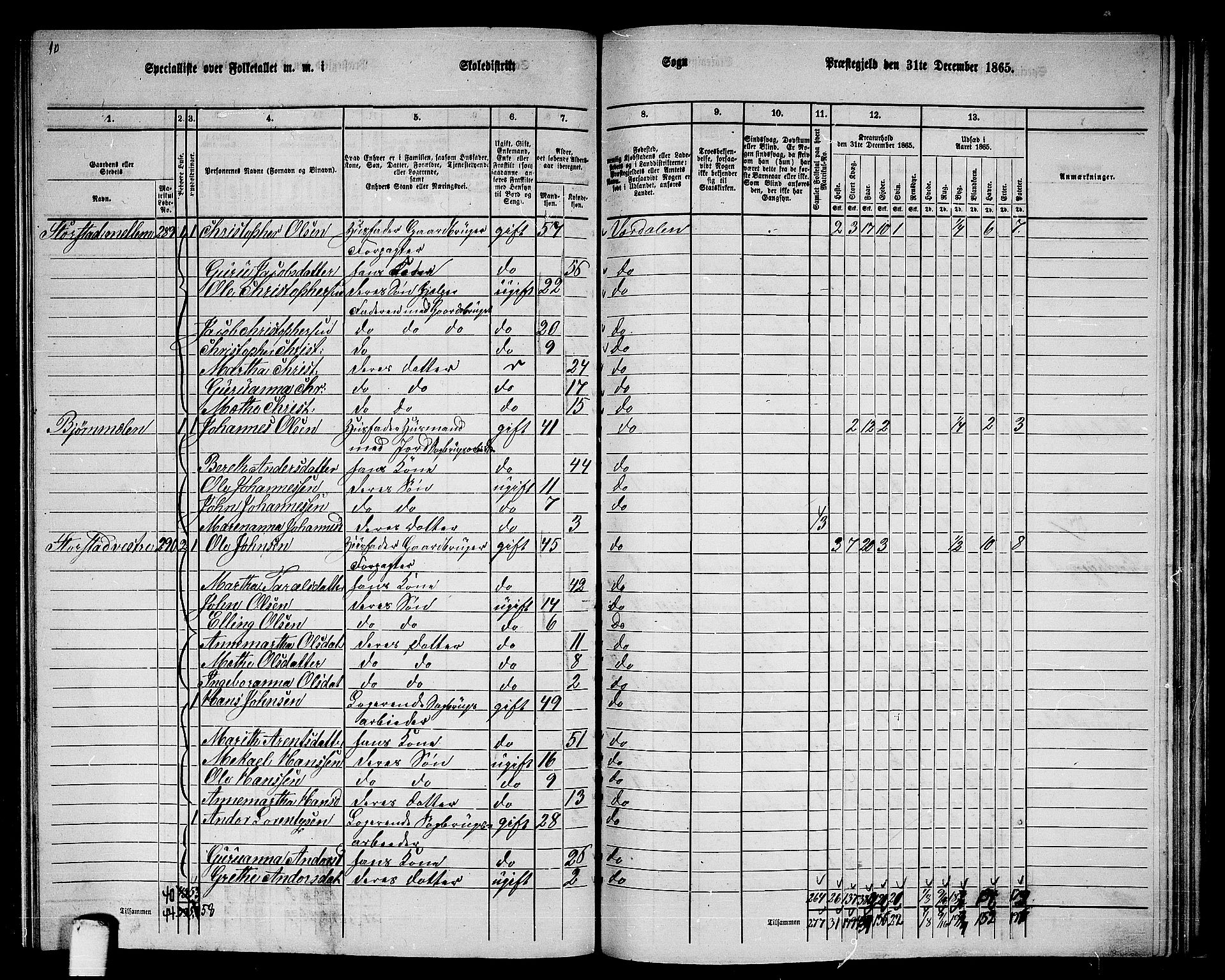 RA, 1865 census for Verdal, 1865, p. 226