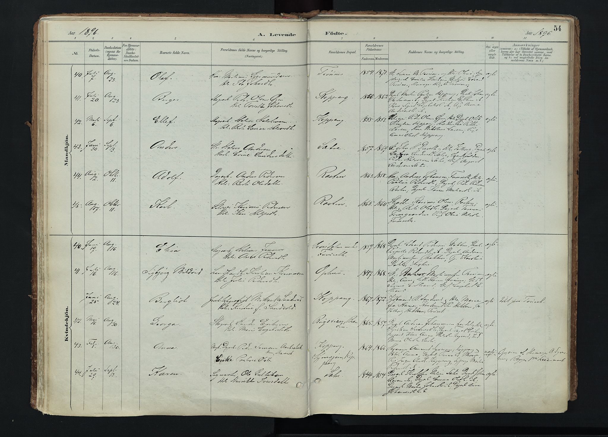 Stor-Elvdal prestekontor, SAH/PREST-052/H/Ha/Haa/L0004: Parish register (official) no. 4, 1890-1922, p. 54