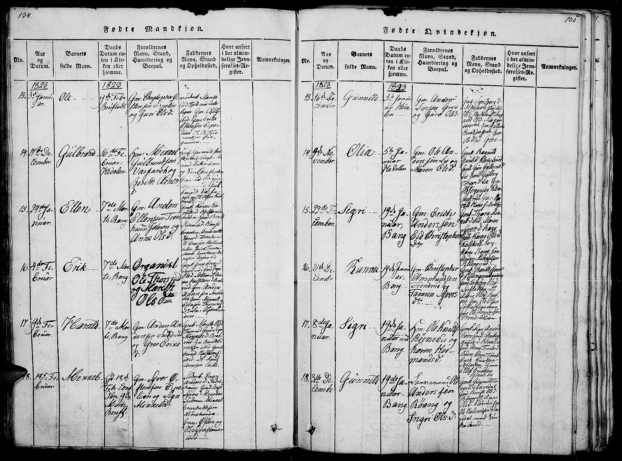 Sør-Aurdal prestekontor, SAH/PREST-128/H/Ha/Haa/L0002: Parish register (official) no. 2, 1815-1840, p. 134-135