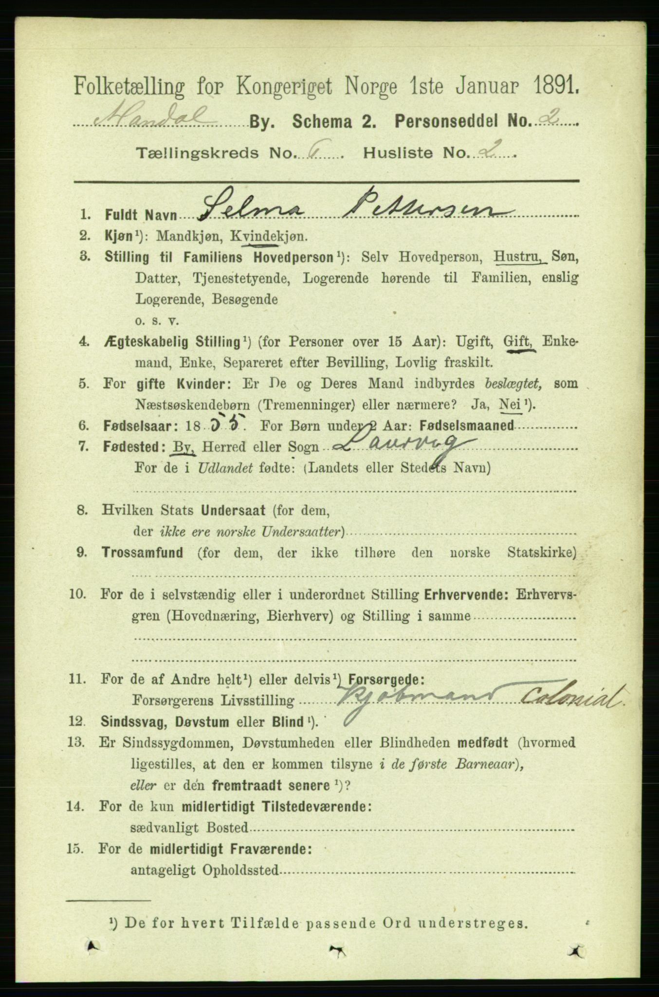 RA, 1891 census for 1002 Mandal, 1891, p. 2058