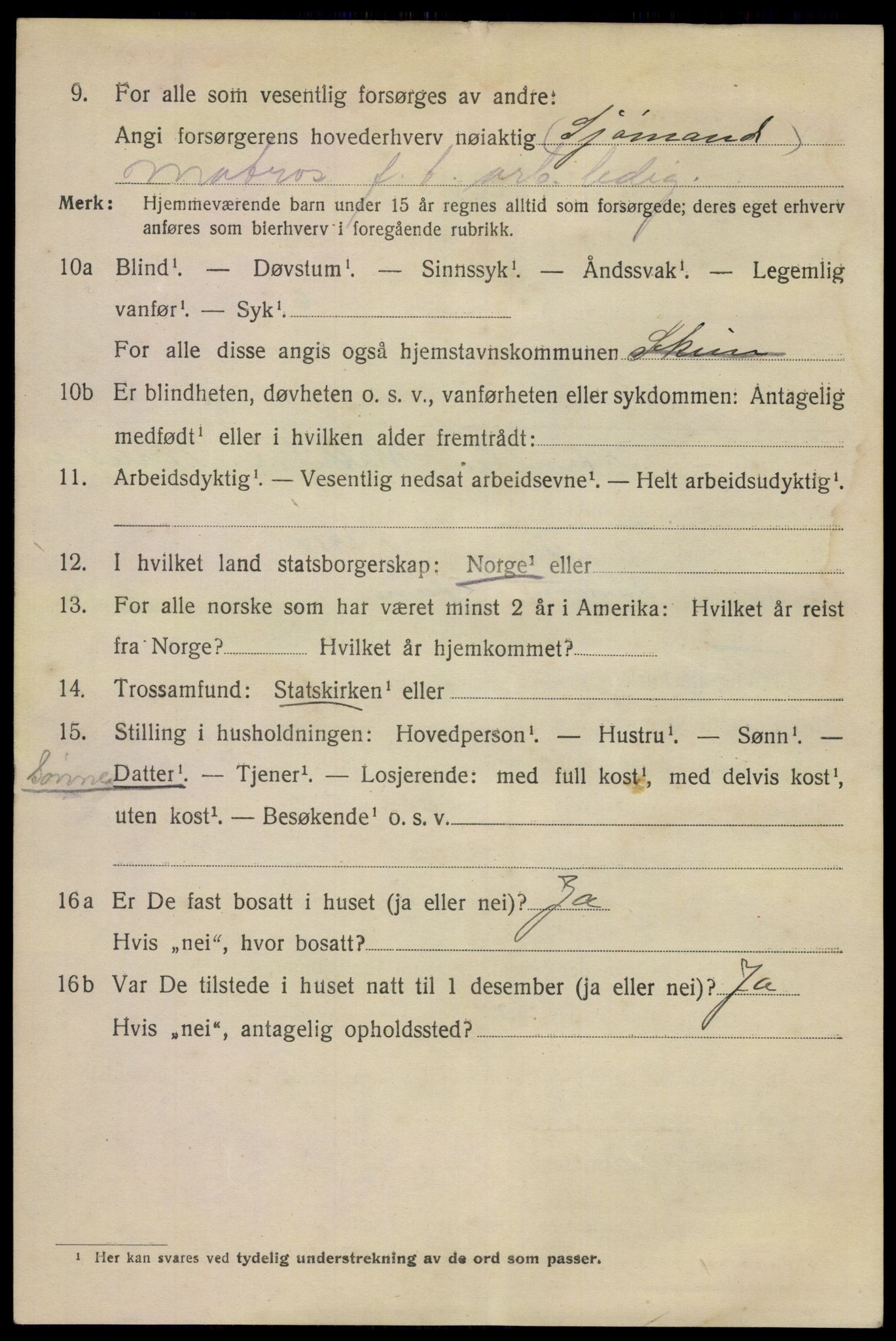 SAKO, 1920 census for Skien, 1920, p. 21817