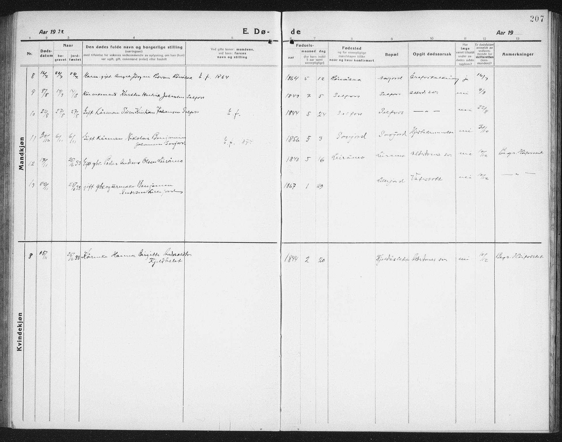 Ministerialprotokoller, klokkerbøker og fødselsregistre - Nordland, AV/SAT-A-1459/846/L0656: Parish register (copy) no. 846C06, 1917-1936, p. 207