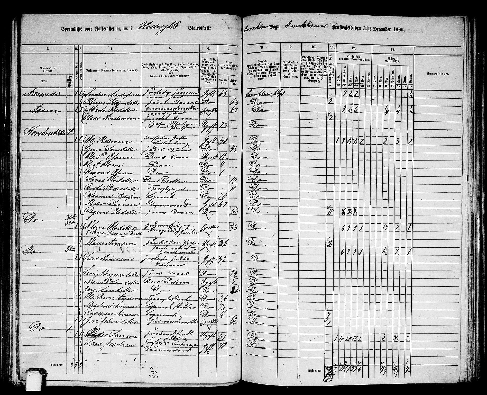 RA, 1865 census for Sunnylven, 1865, p. 13