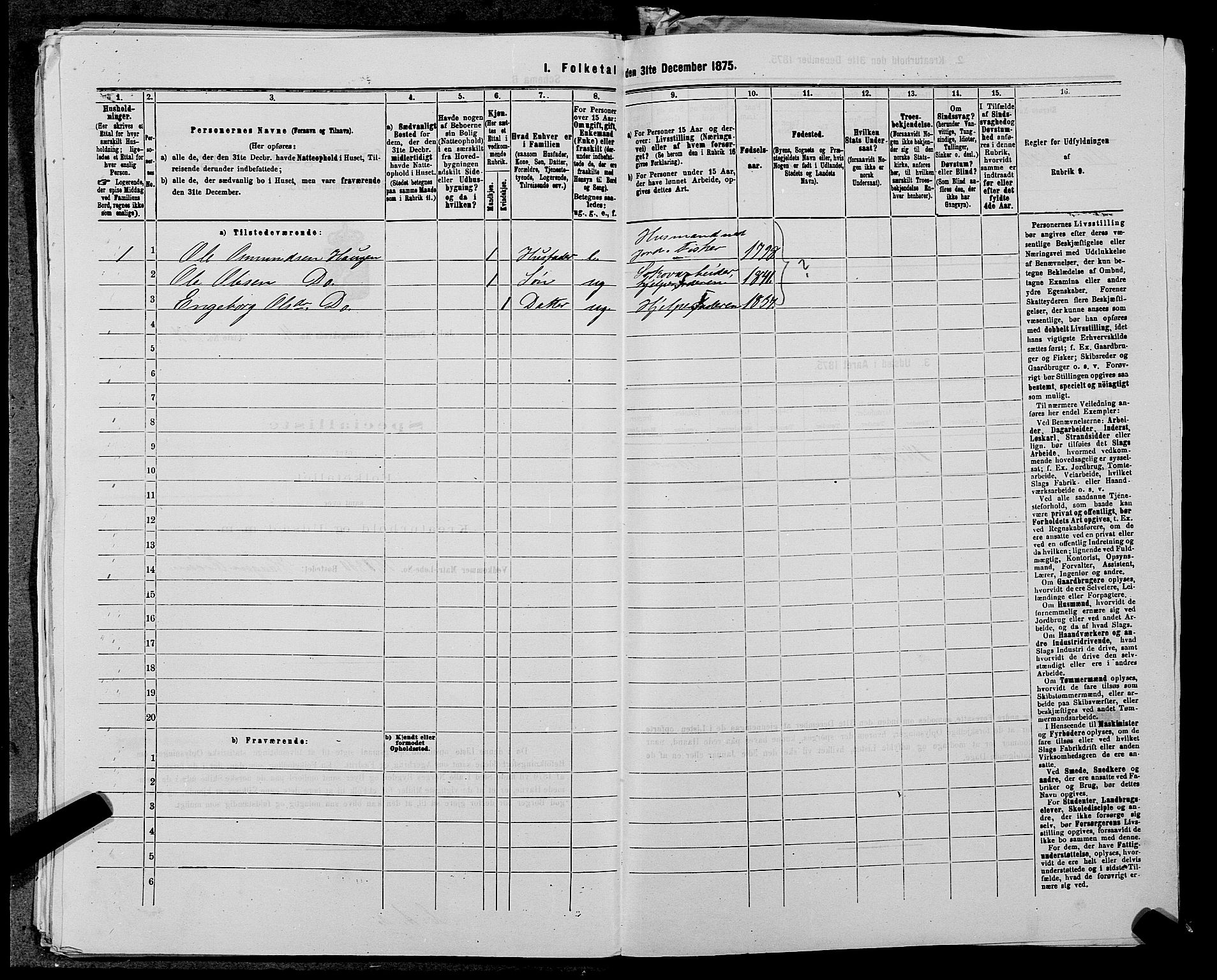 SAST, 1875 census for 1138P Jelsa, 1875, p. 398