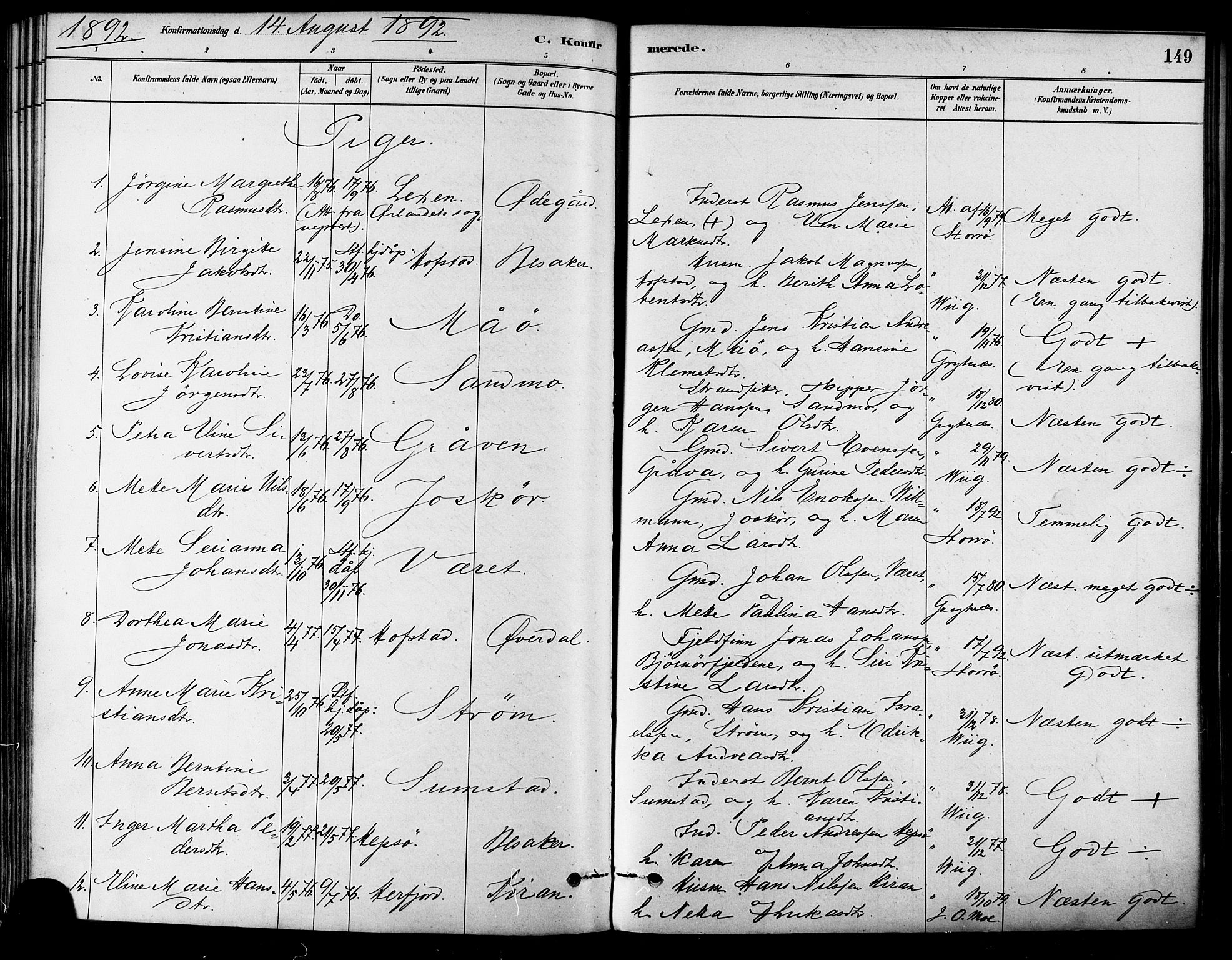 Ministerialprotokoller, klokkerbøker og fødselsregistre - Sør-Trøndelag, AV/SAT-A-1456/657/L0707: Parish register (official) no. 657A08, 1879-1893, p. 149