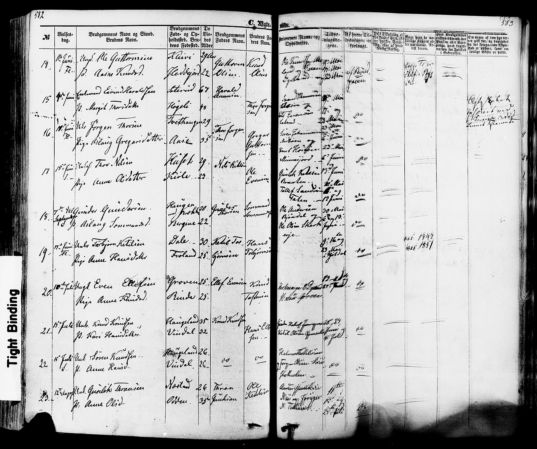 Seljord kirkebøker, SAKO/A-20/F/Fa/L0013: Parish register (official) no. I 13, 1866-1876, p. 582-583