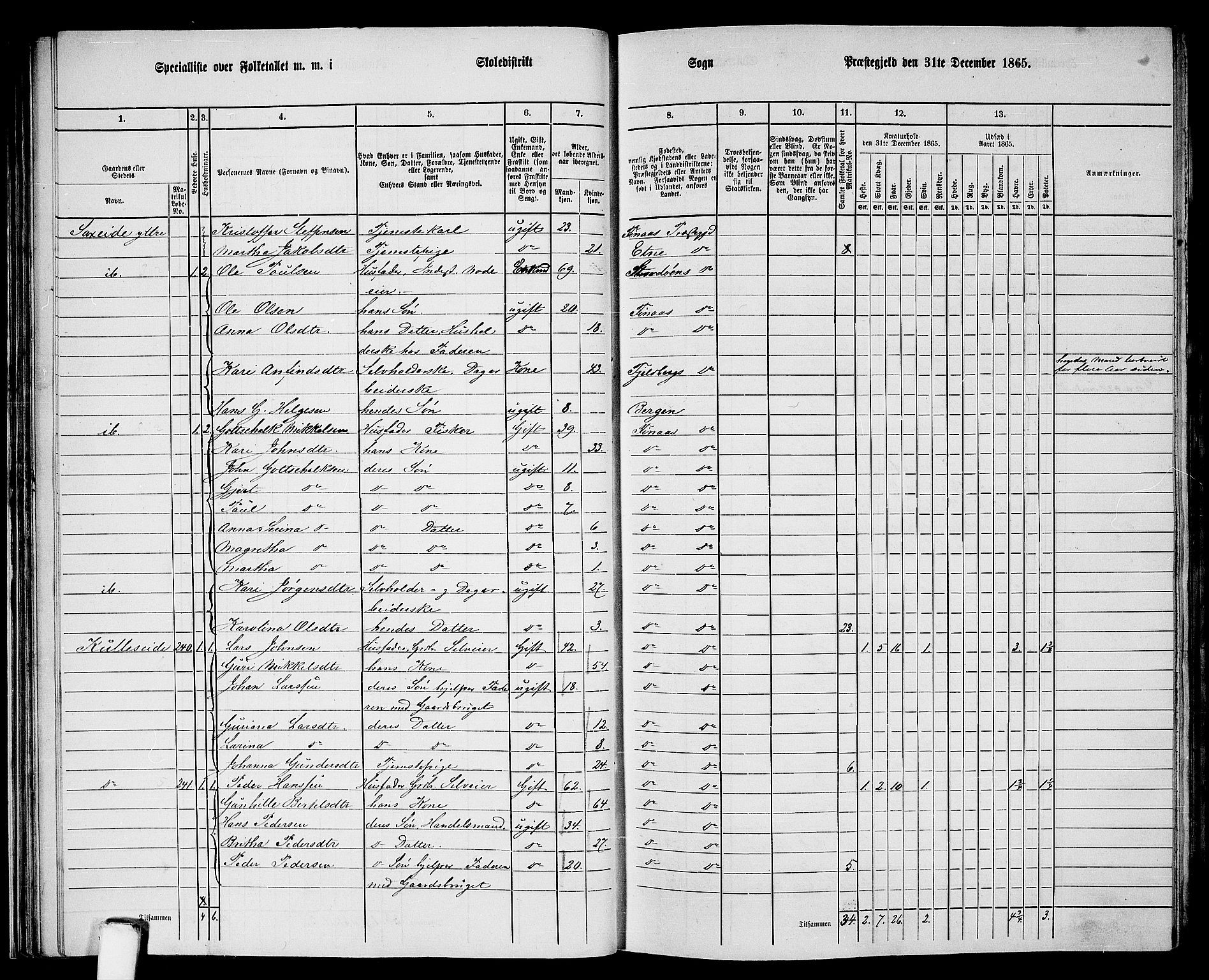 RA, 1865 census for Finnås, 1865, p. 29