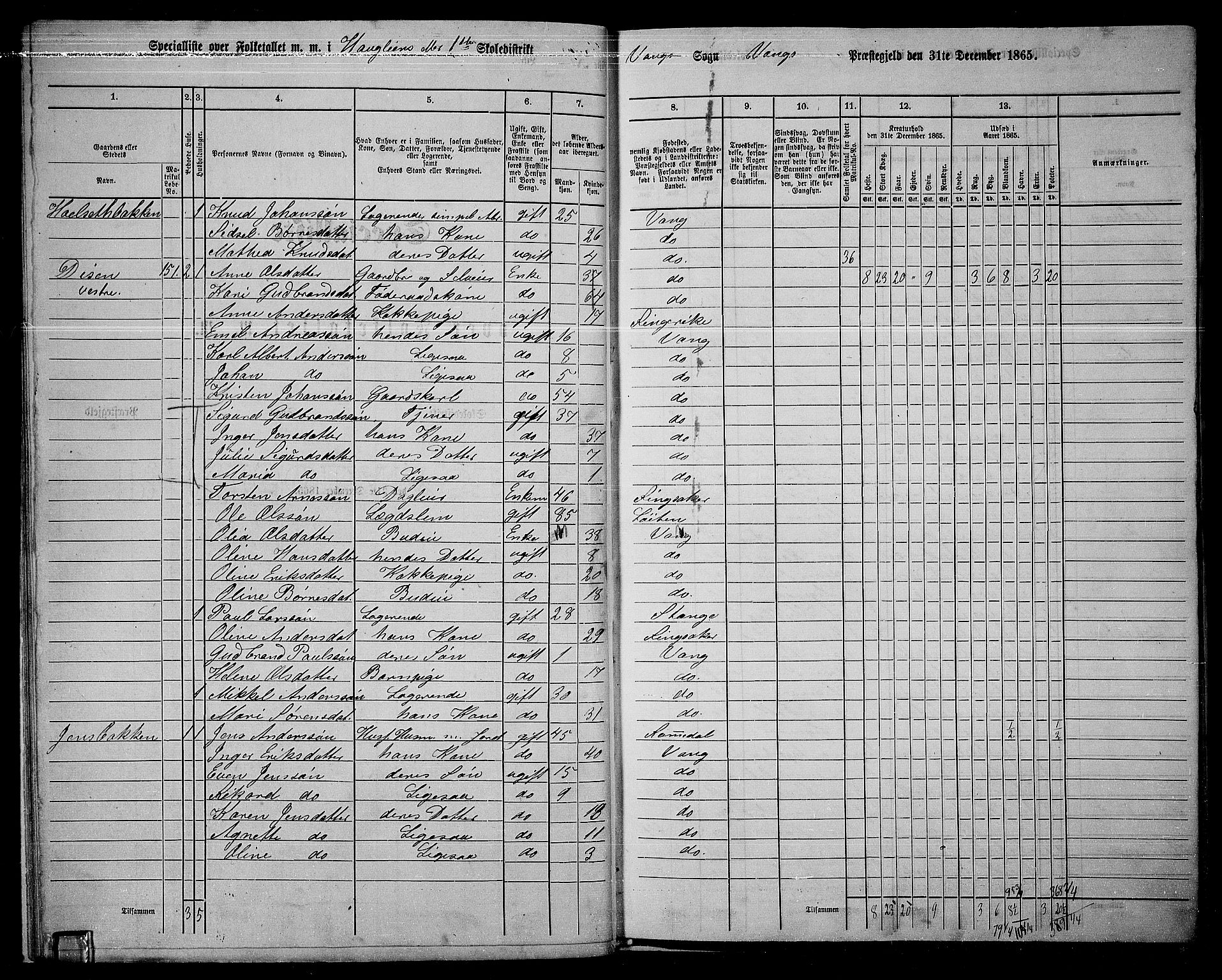 RA, 1865 census for Vang/Vang og Furnes, 1865, p. 165