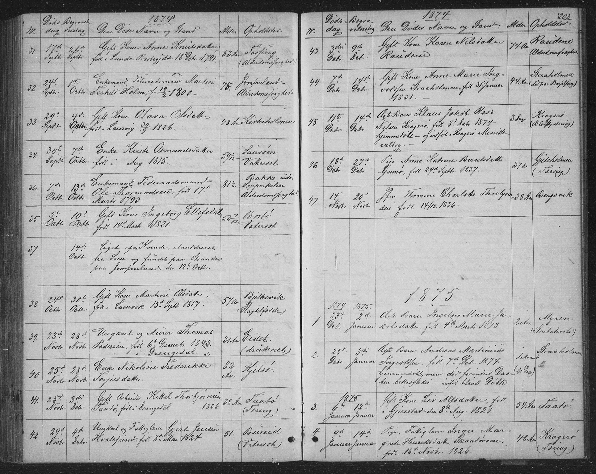 Skåtøy kirkebøker, AV/SAKO-A-304/G/Ga/L0002: Parish register (copy) no. I 2, 1872-1884, p. 203