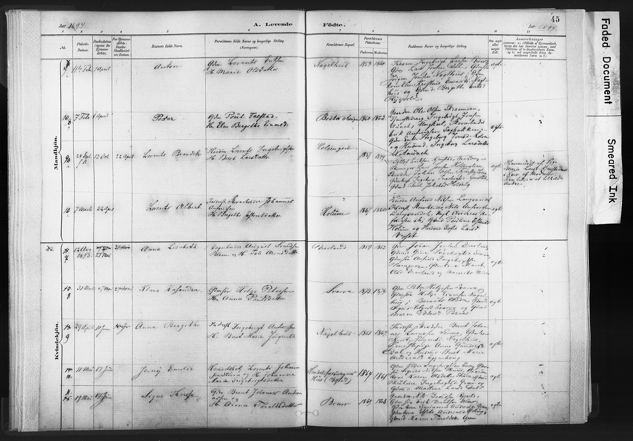 Ministerialprotokoller, klokkerbøker og fødselsregistre - Nord-Trøndelag, SAT/A-1458/749/L0474: Parish register (official) no. 749A08, 1887-1903, p. 45