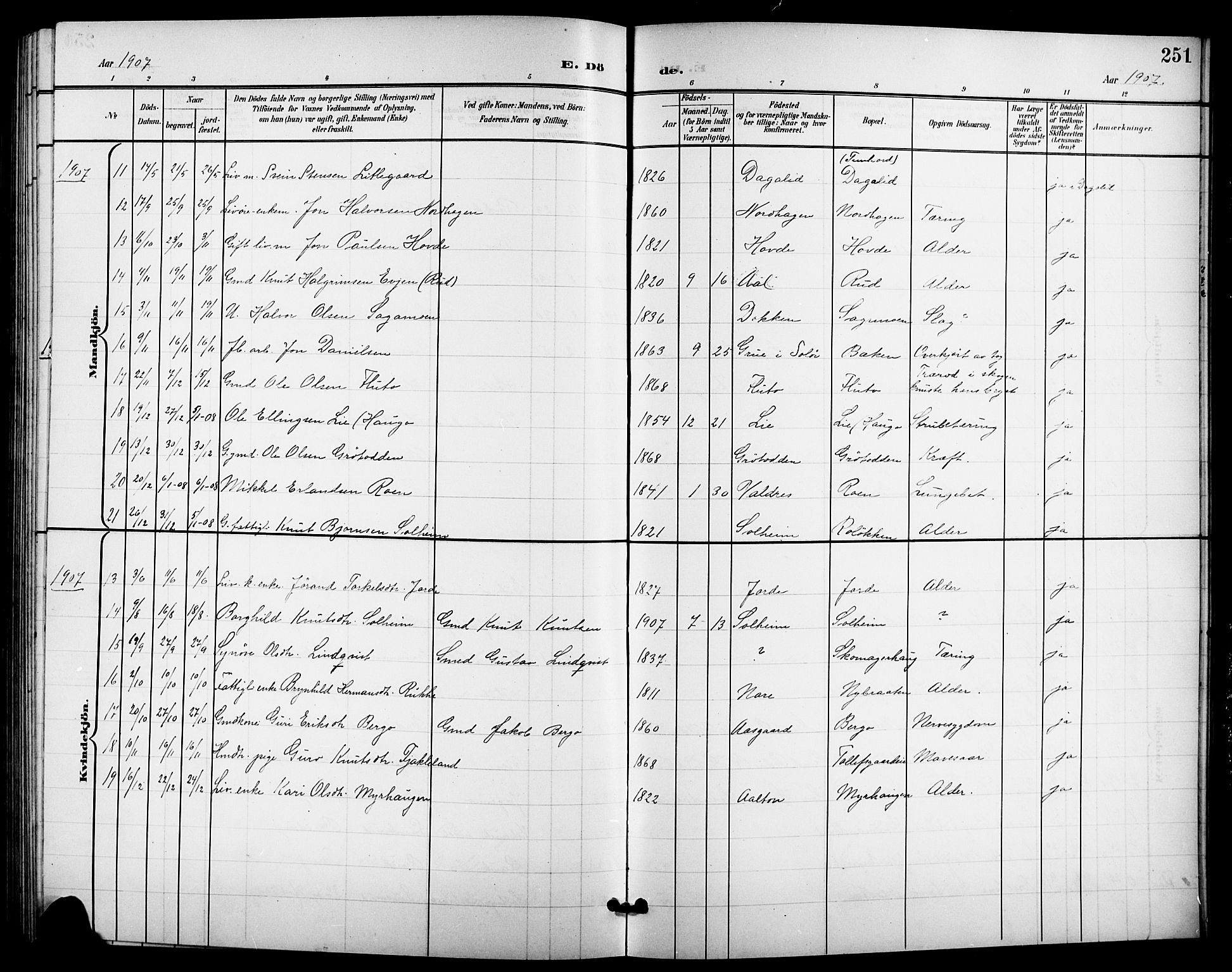 Nes kirkebøker, AV/SAKO-A-236/G/Ga/L0004: Parish register (copy) no. I 4, 1900-1925, p. 251