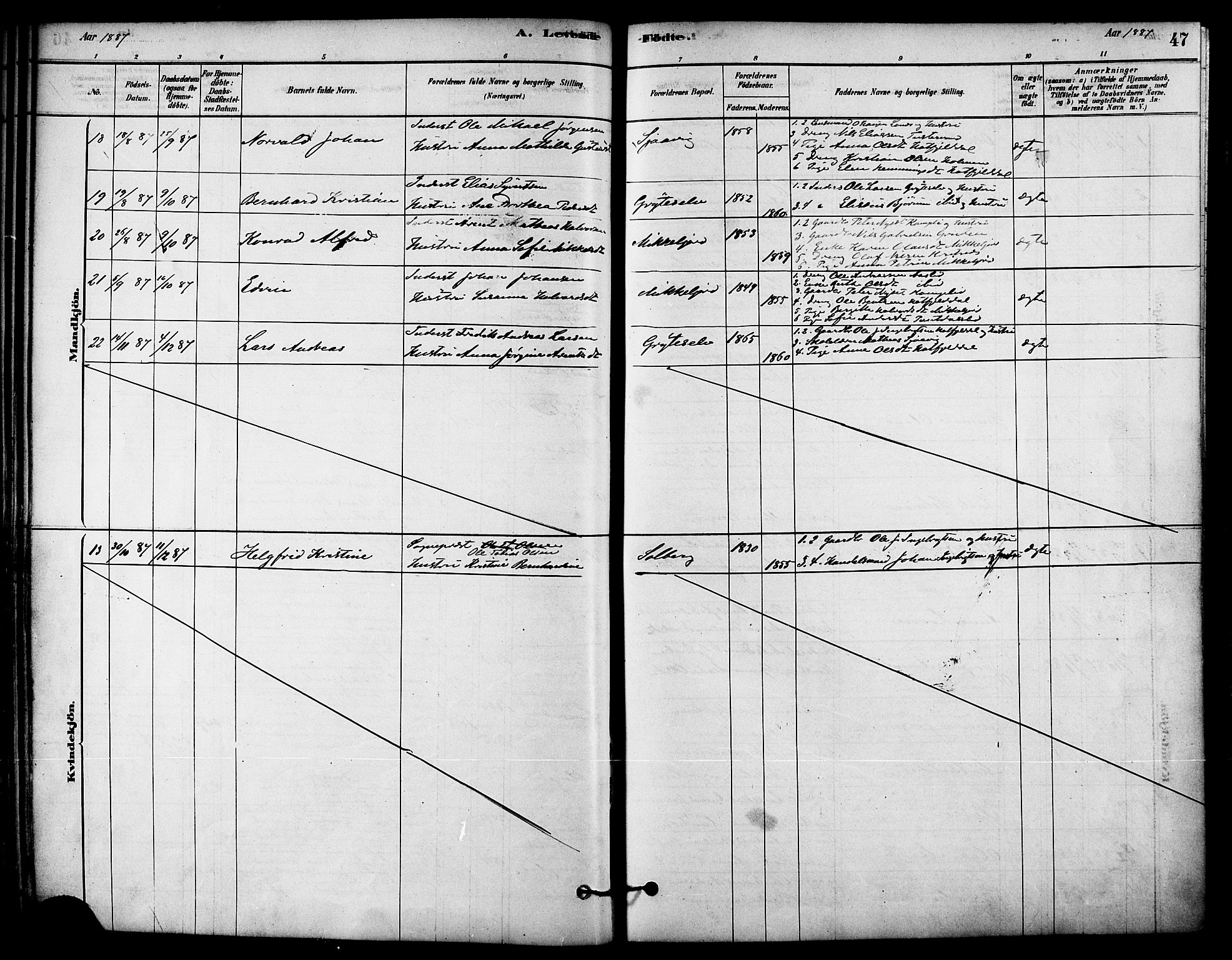 Ministerialprotokoller, klokkerbøker og fødselsregistre - Nordland, AV/SAT-A-1459/823/L0325: Parish register (official) no. 823A02, 1878-1898, p. 47