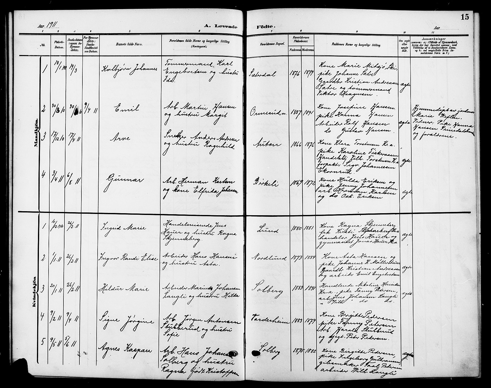 Nesodden prestekontor Kirkebøker, SAO/A-10013/G/Gb/L0001: Parish register (copy) no. II 1, 1905-1924, p. 15