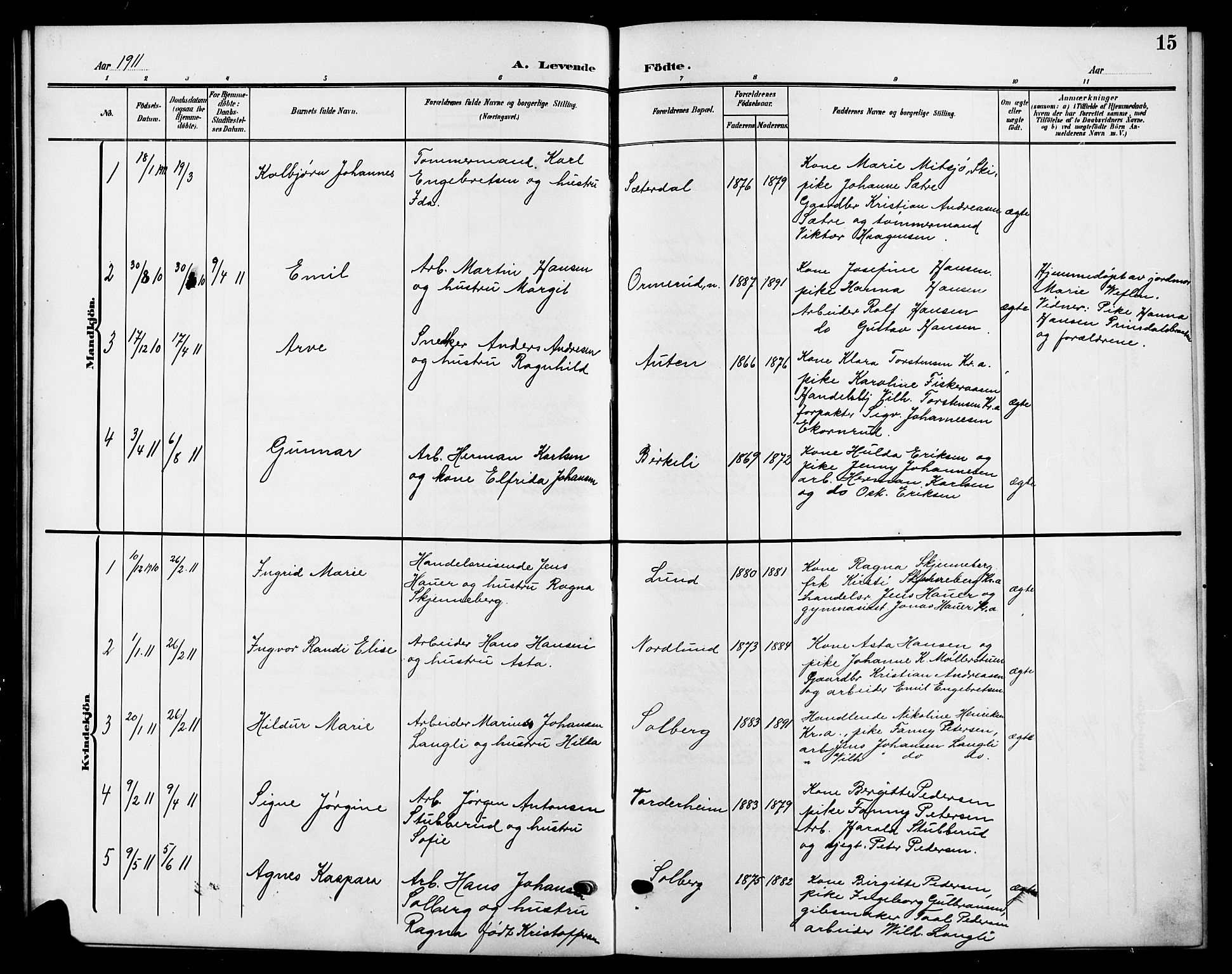 Nesodden prestekontor Kirkebøker, AV/SAO-A-10013/G/Gb/L0001: Parish register (copy) no. II 1, 1905-1924, p. 15