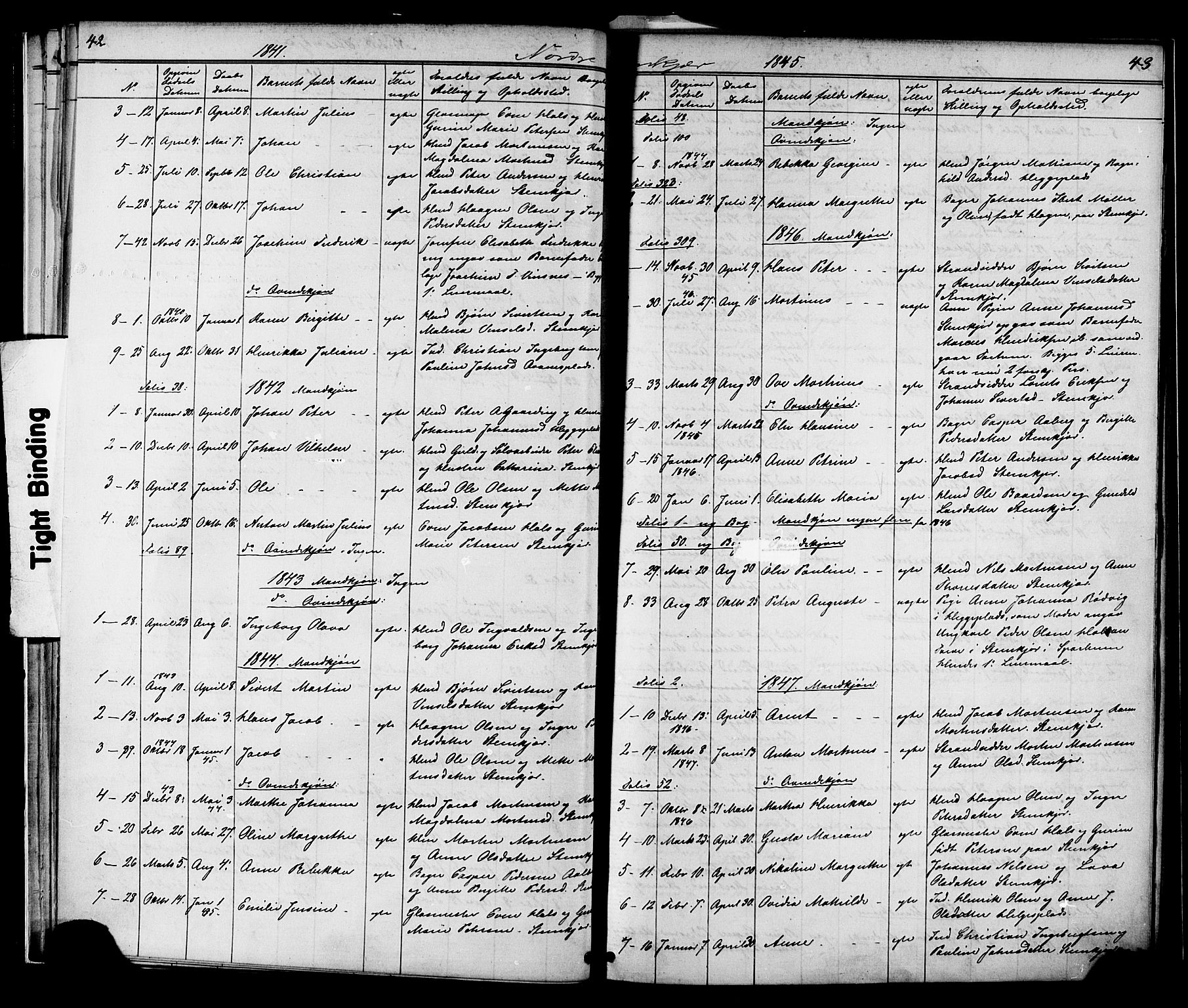 Ministerialprotokoller, klokkerbøker og fødselsregistre - Nord-Trøndelag, AV/SAT-A-1458/739/L0367: Parish register (official) no. 739A01 /2, 1838-1868, p. 42-43