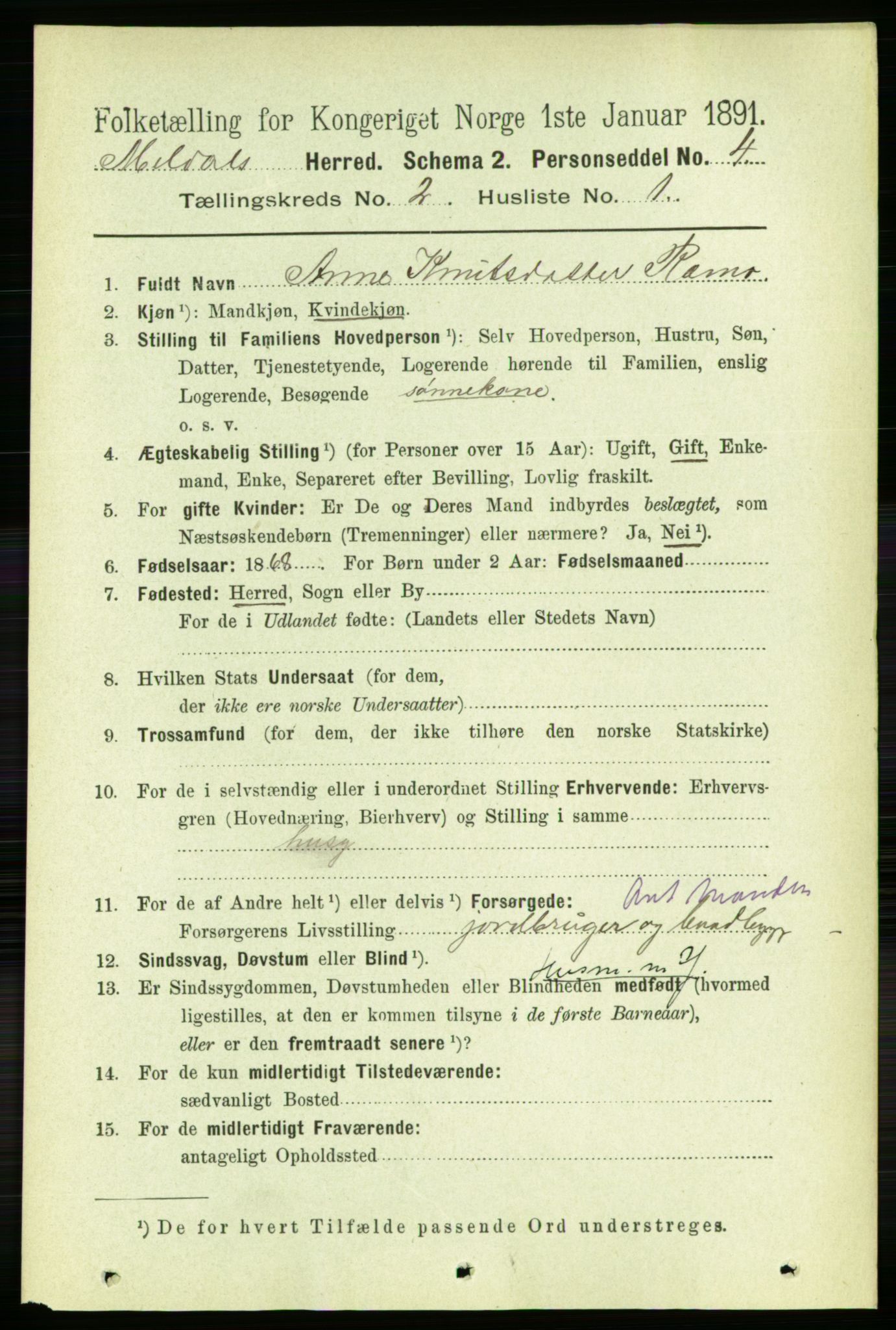 RA, 1891 census for 1636 Meldal, 1891, p. 1066