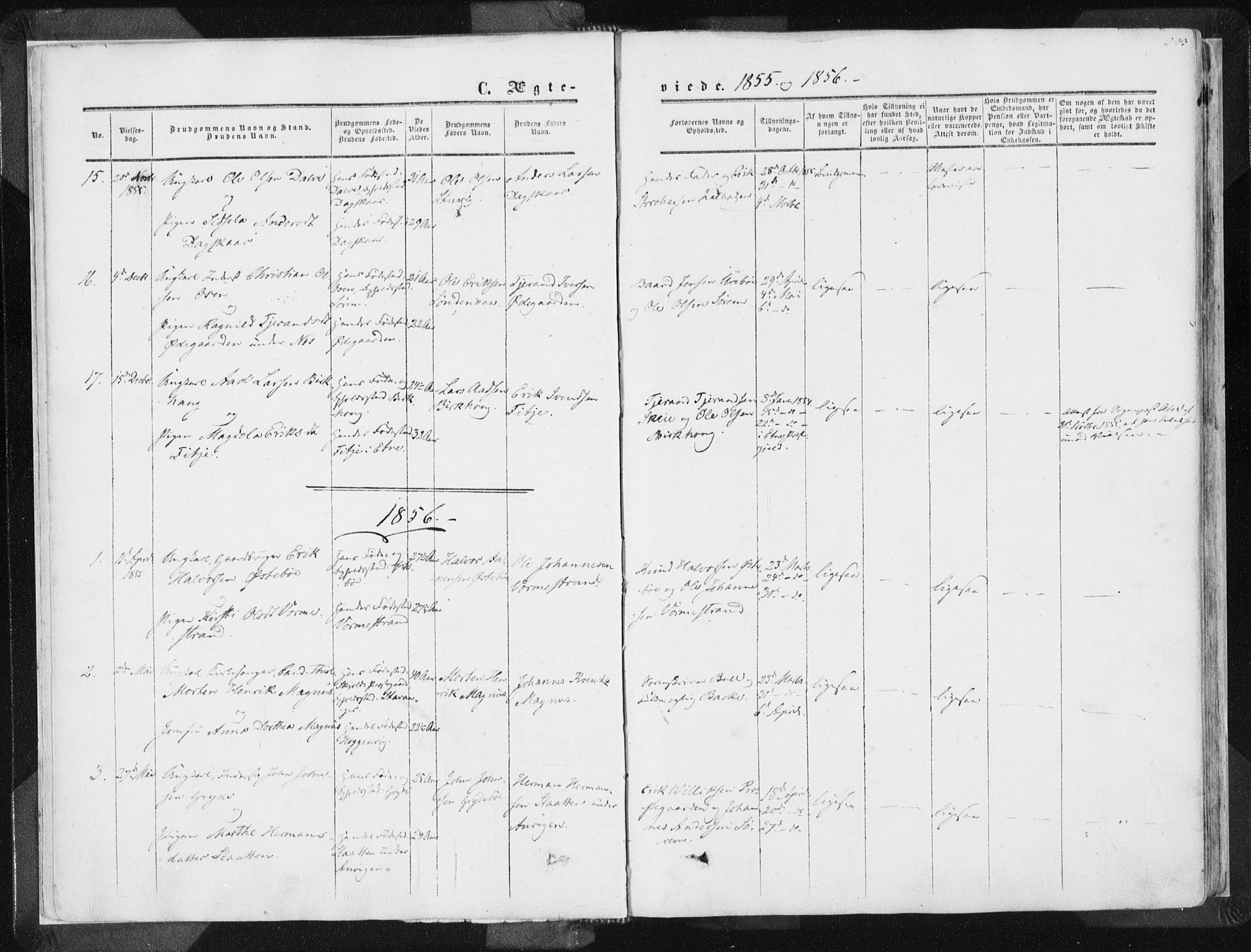 Vikedal sokneprestkontor, AV/SAST-A-101840/01/IV: Parish register (official) no. A 6.2, 1851-1867, p. 233