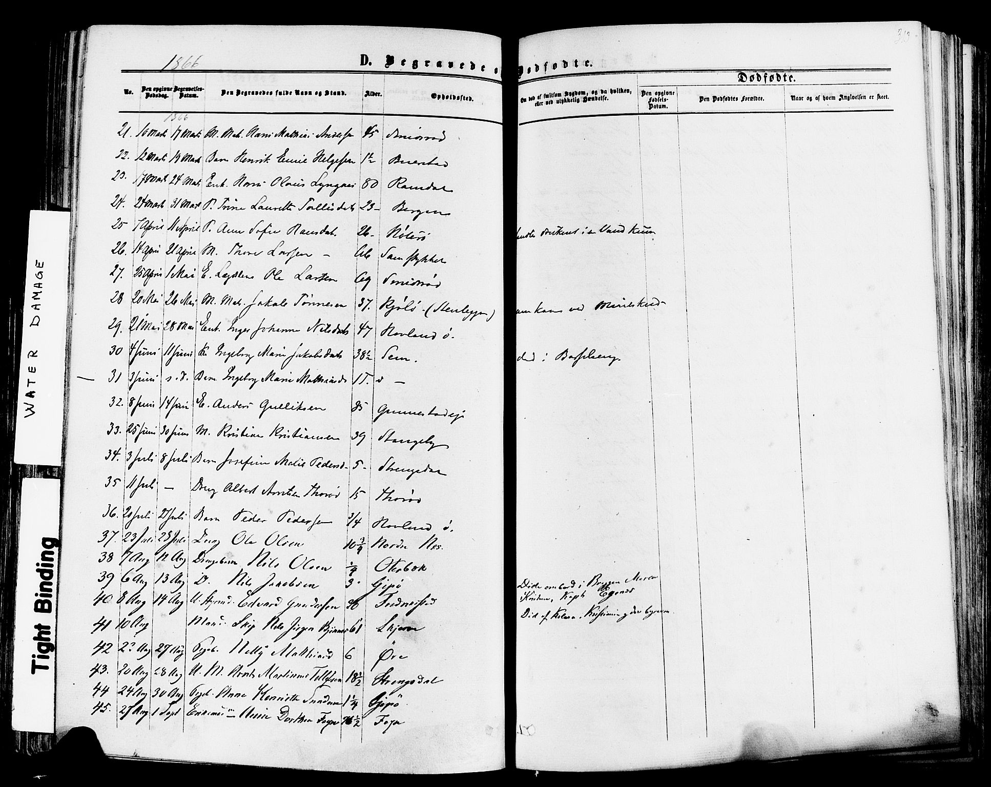 Nøtterøy kirkebøker, AV/SAKO-A-354/F/Fa/L0007: Parish register (official) no. I 7, 1865-1877, p. 313