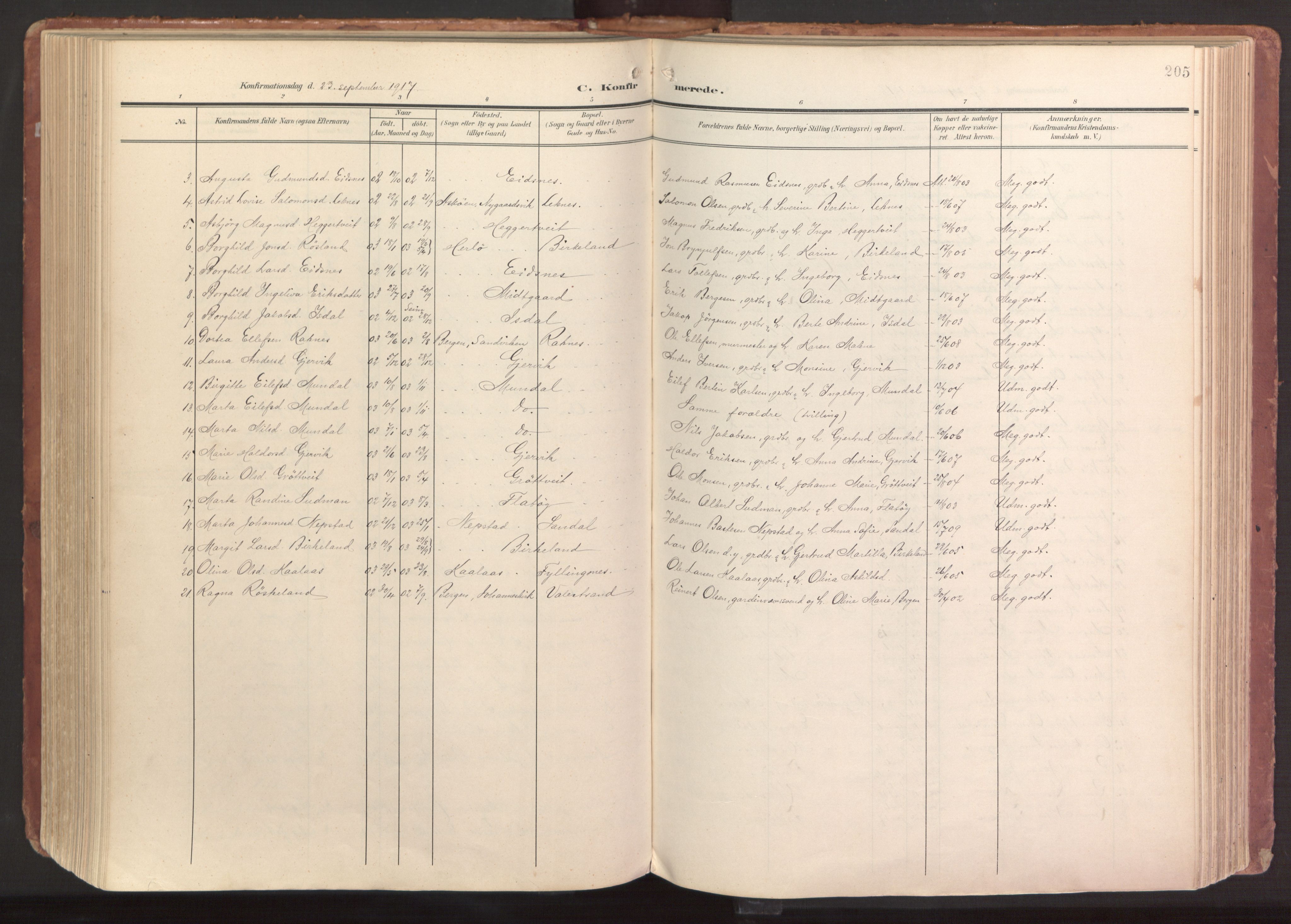 Hamre sokneprestembete, AV/SAB-A-75501/H/Ha/Haa/Haab/L0002: Parish register (official) no. B 2, 1905-1924, p. 205