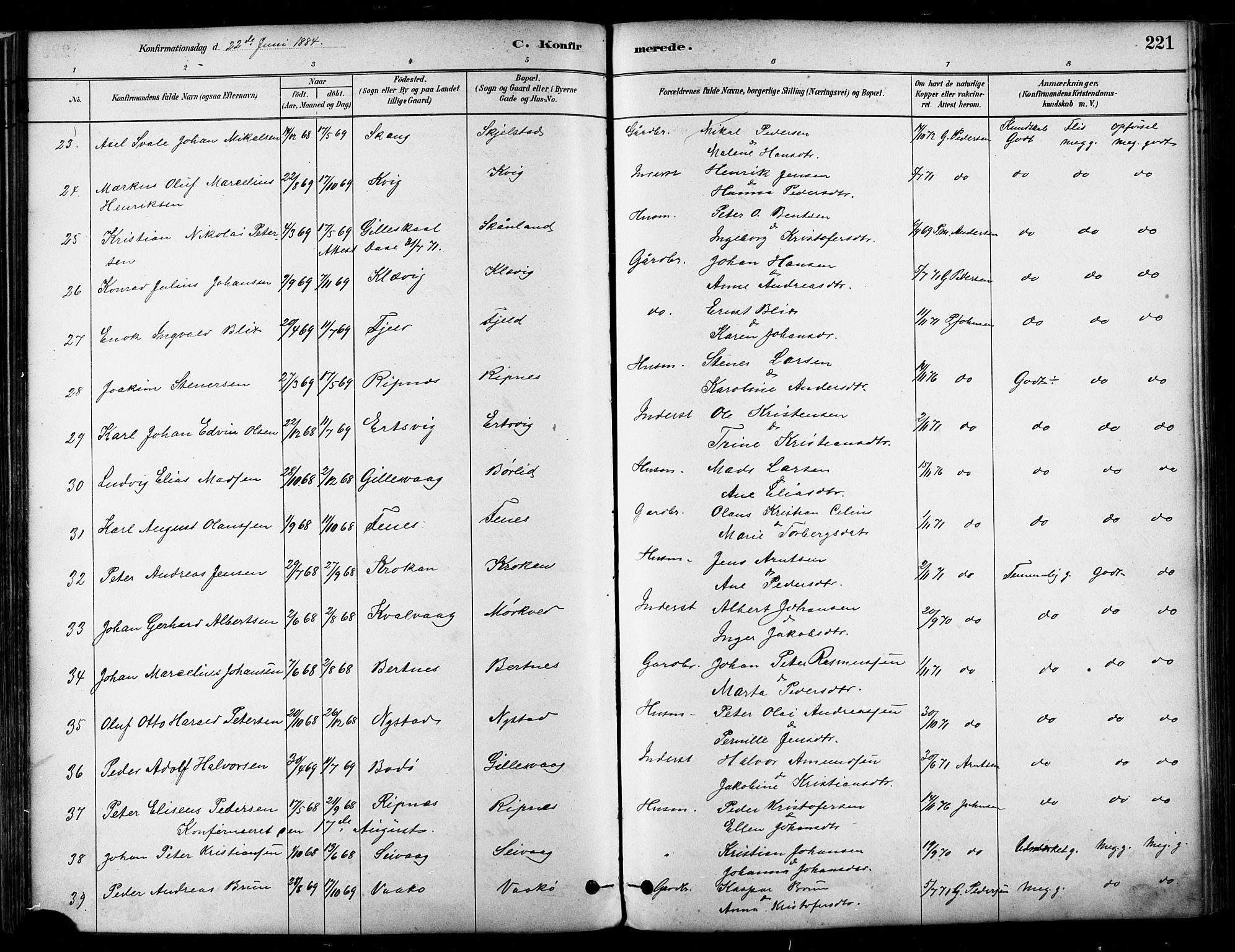 Ministerialprotokoller, klokkerbøker og fødselsregistre - Nordland, SAT/A-1459/802/L0054: Parish register (official) no. 802A01, 1879-1893, p. 221