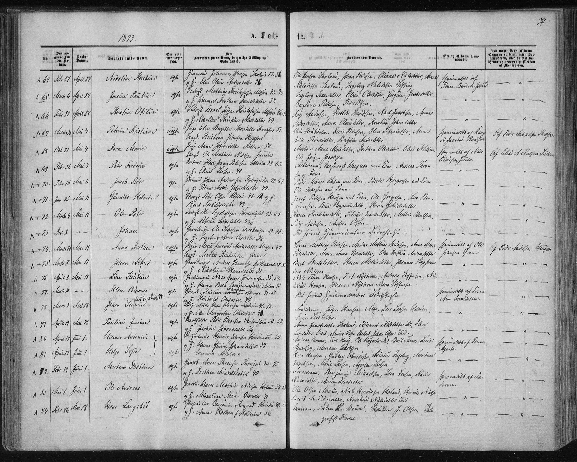 Ministerialprotokoller, klokkerbøker og fødselsregistre - Nordland, SAT/A-1459/820/L0294: Parish register (official) no. 820A15, 1866-1879, p. 74