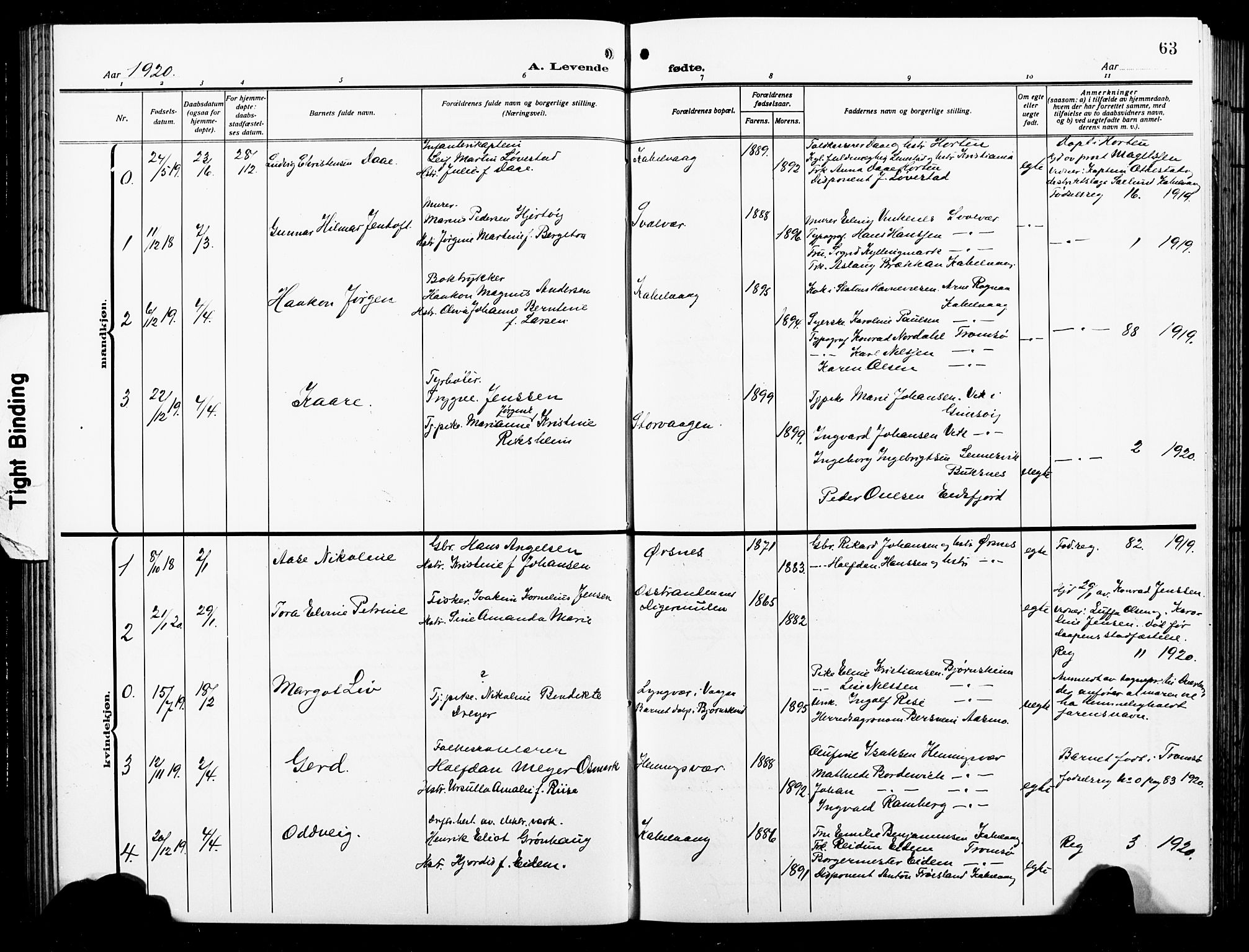 Ministerialprotokoller, klokkerbøker og fødselsregistre - Nordland, AV/SAT-A-1459/874/L1080: Parish register (copy) no. 874C09, 1915-1925, p. 63