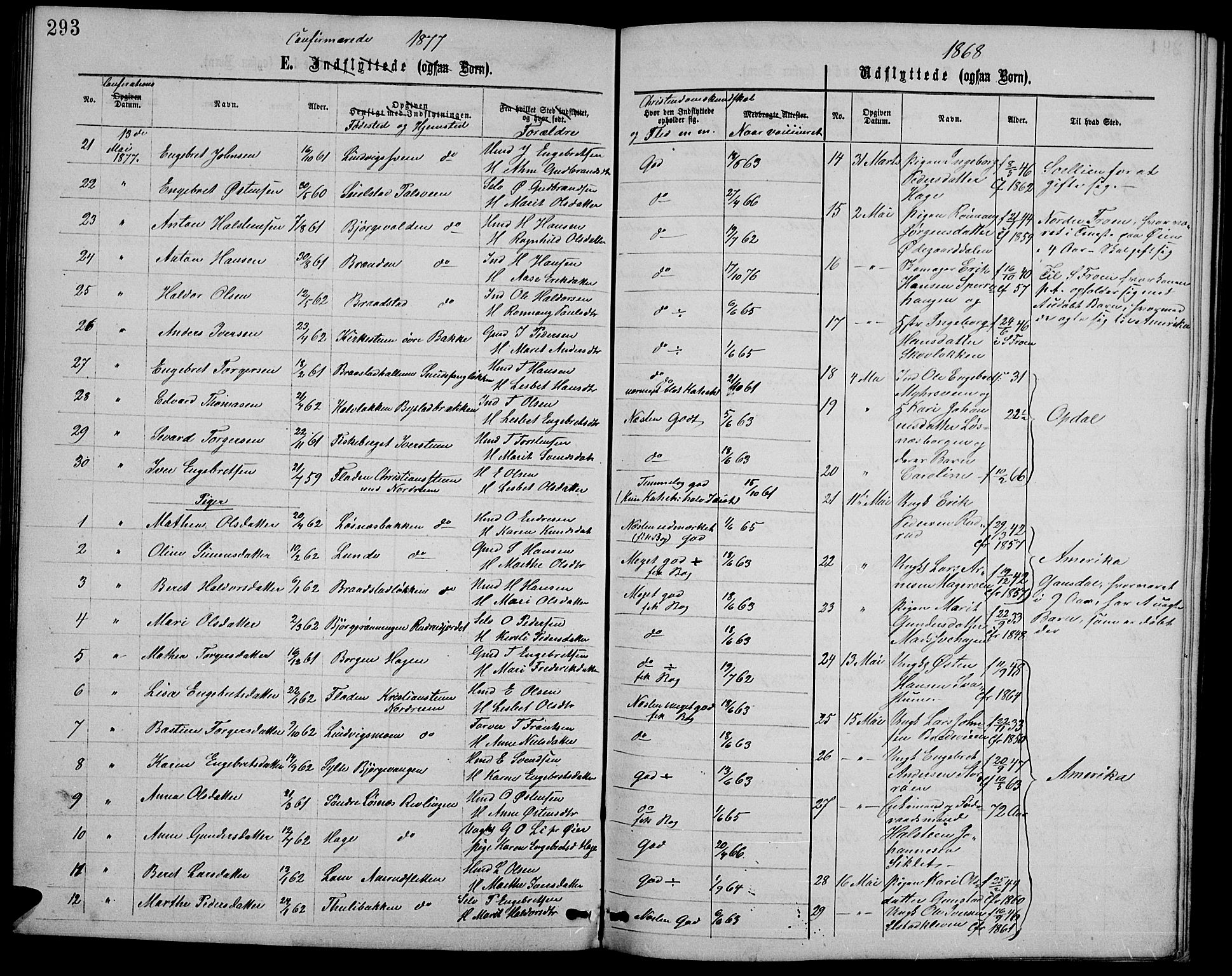 Ringebu prestekontor, SAH/PREST-082/H/Ha/Hab/L0004: Parish register (copy) no. 4, 1867-1879, p. 293
