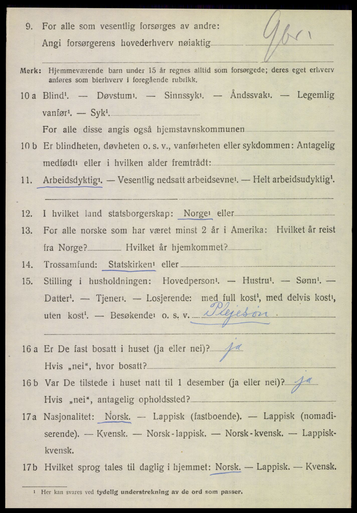 SAT, 1920 census for Hamarøy, 1920, p. 2597