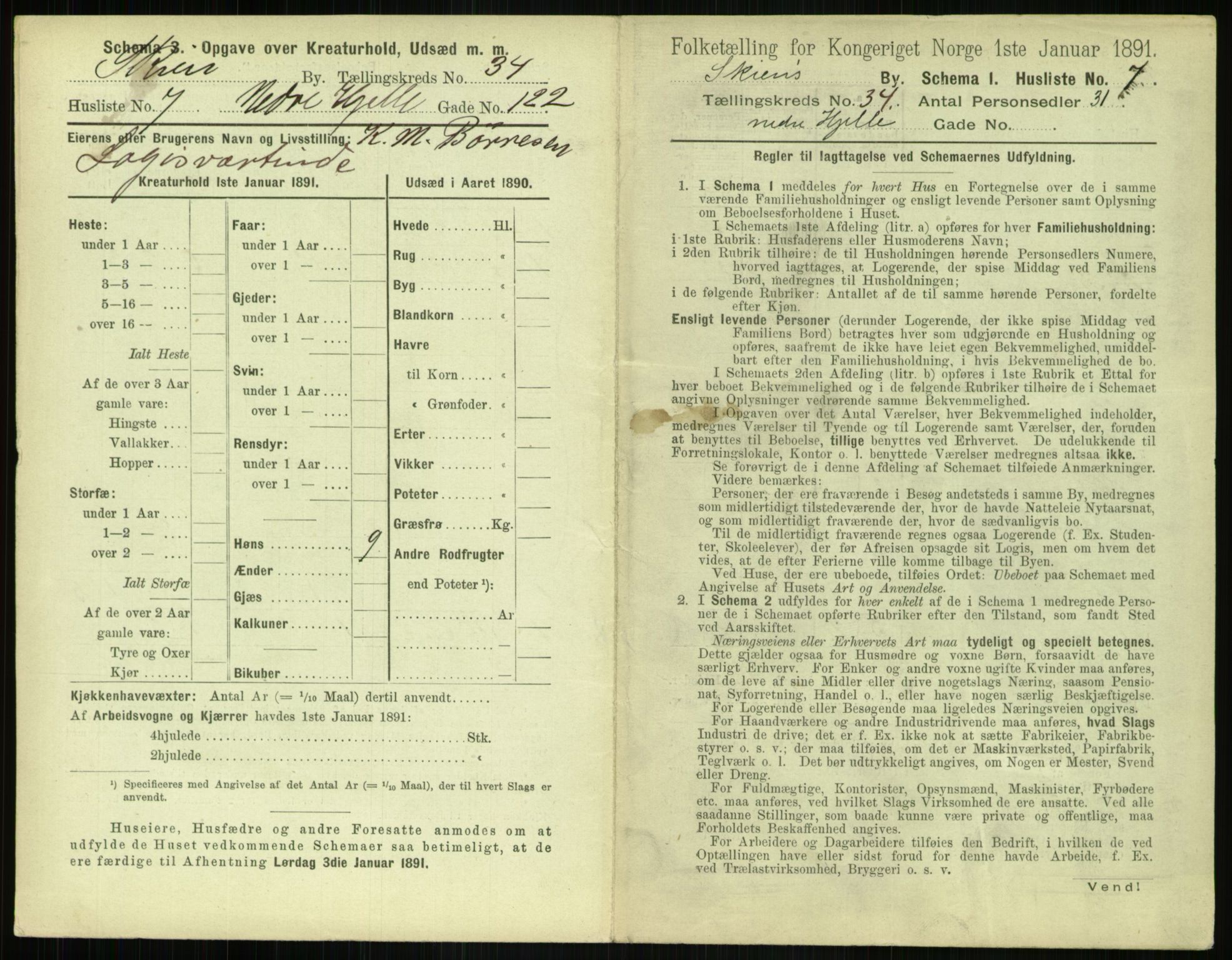 RA, 1891 census for 0806 Skien, 1891, p. 1346