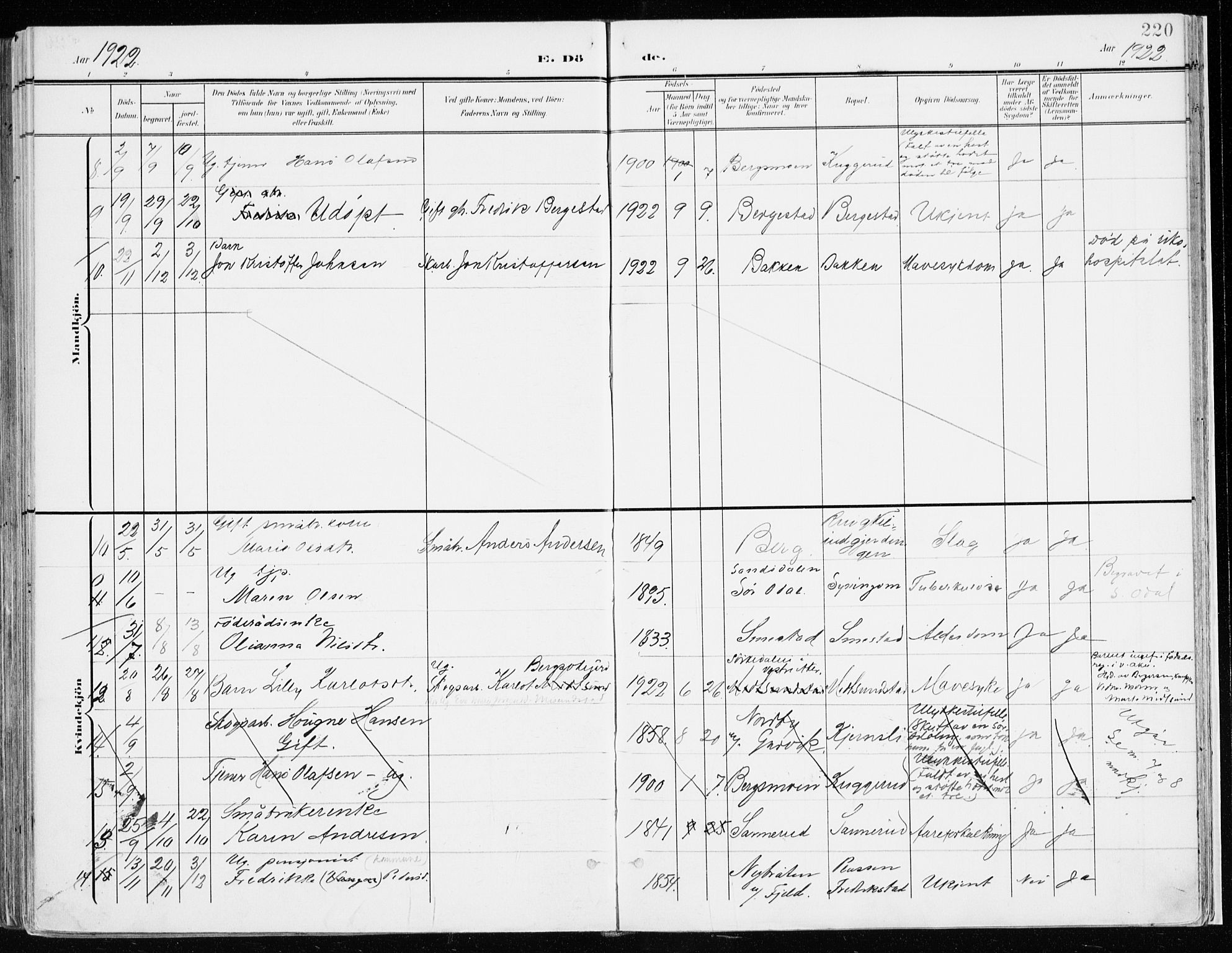 Nord-Odal prestekontor, AV/SAH-PREST-032/H/Ha/Haa/L0009: Parish register (official) no. 9, 1902-1926, p. 220