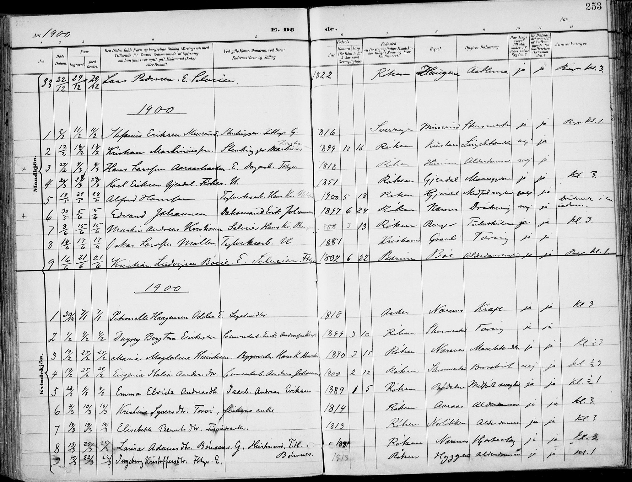 Røyken kirkebøker, AV/SAKO-A-241/F/Fa/L0009: Parish register (official) no. 9, 1898-1911, p. 253