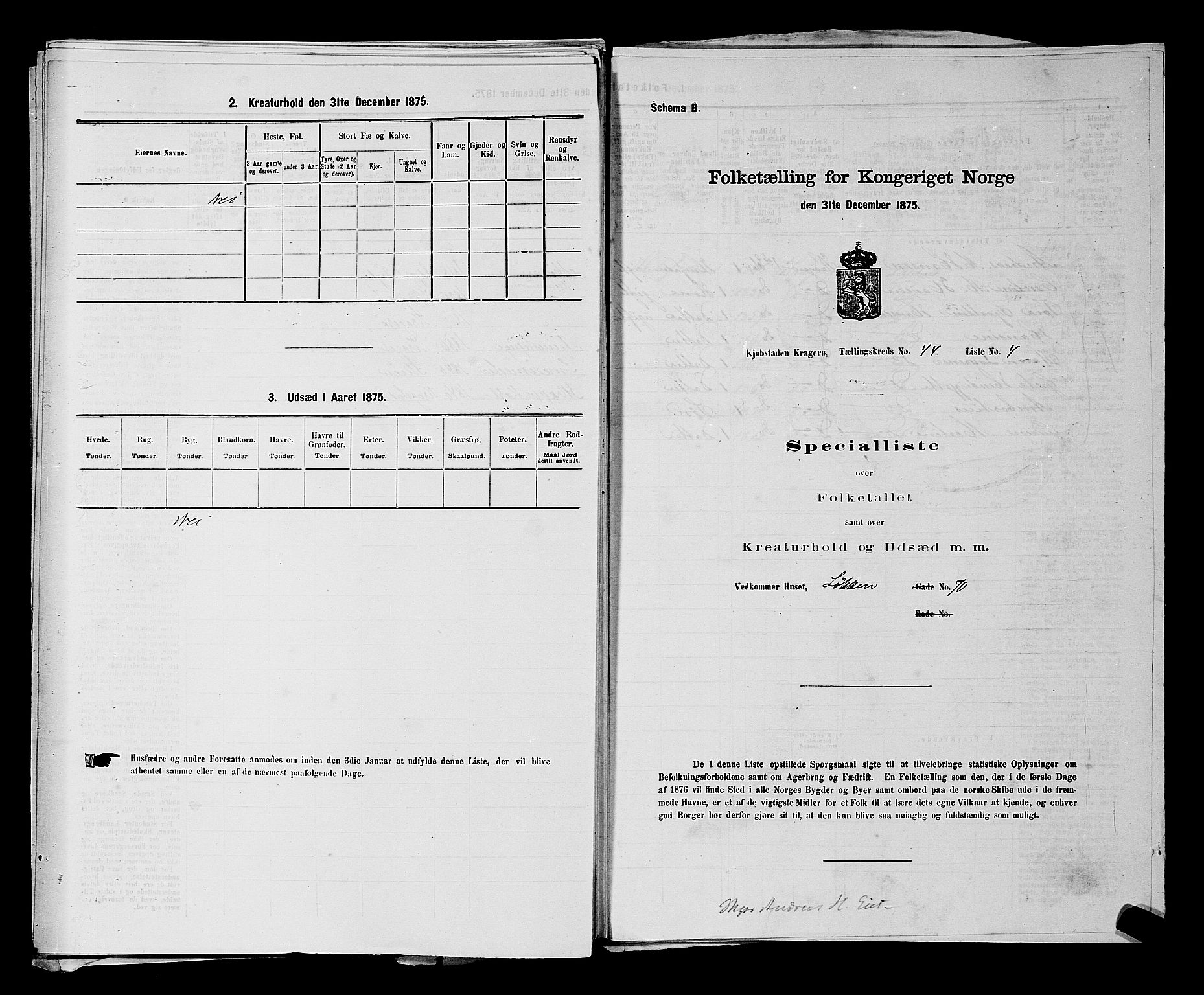 SAKO, 1875 census for 0801P Kragerø, 1875, p. 970