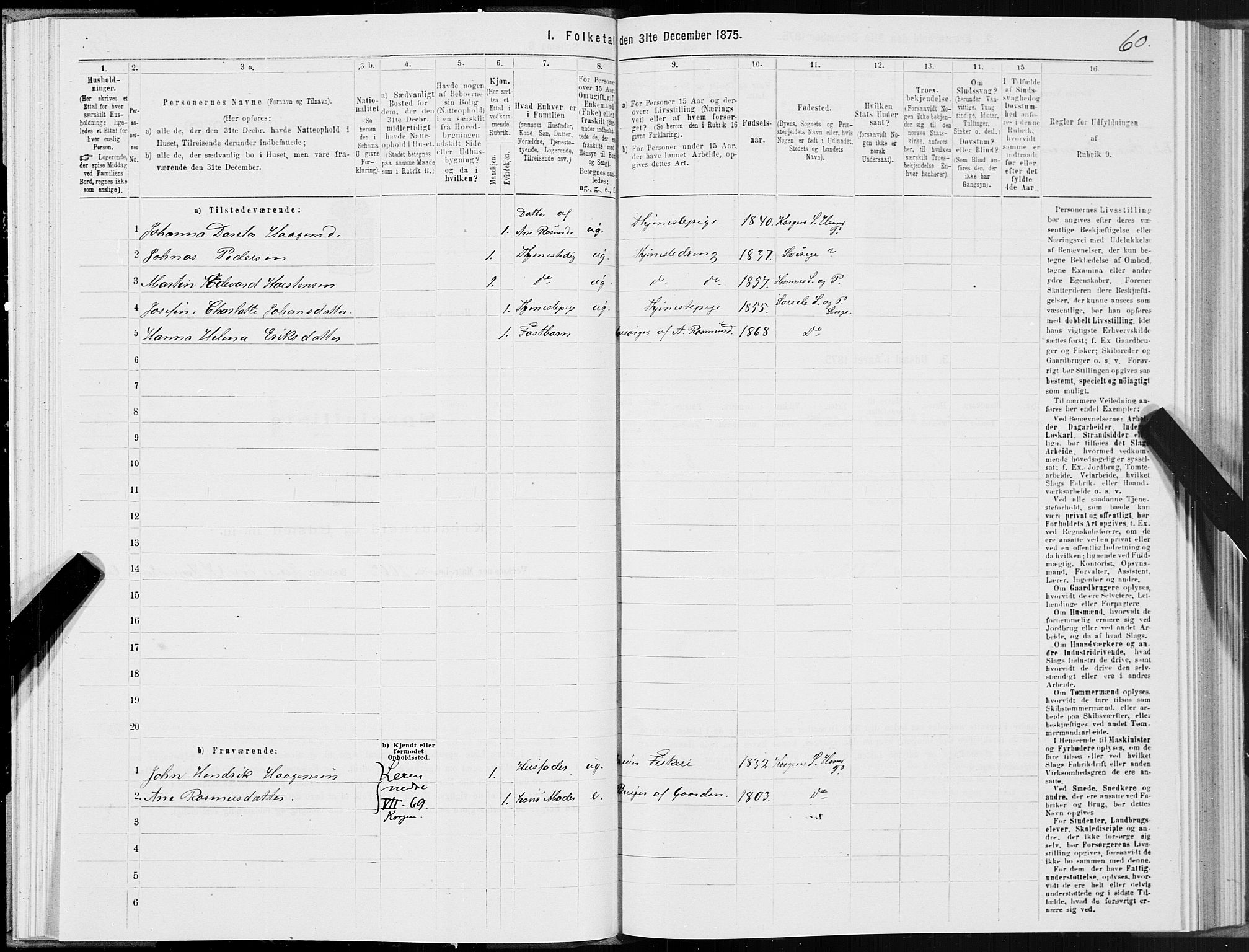 SAT, 1875 census for 1832P Hemnes, 1875, p. 4060