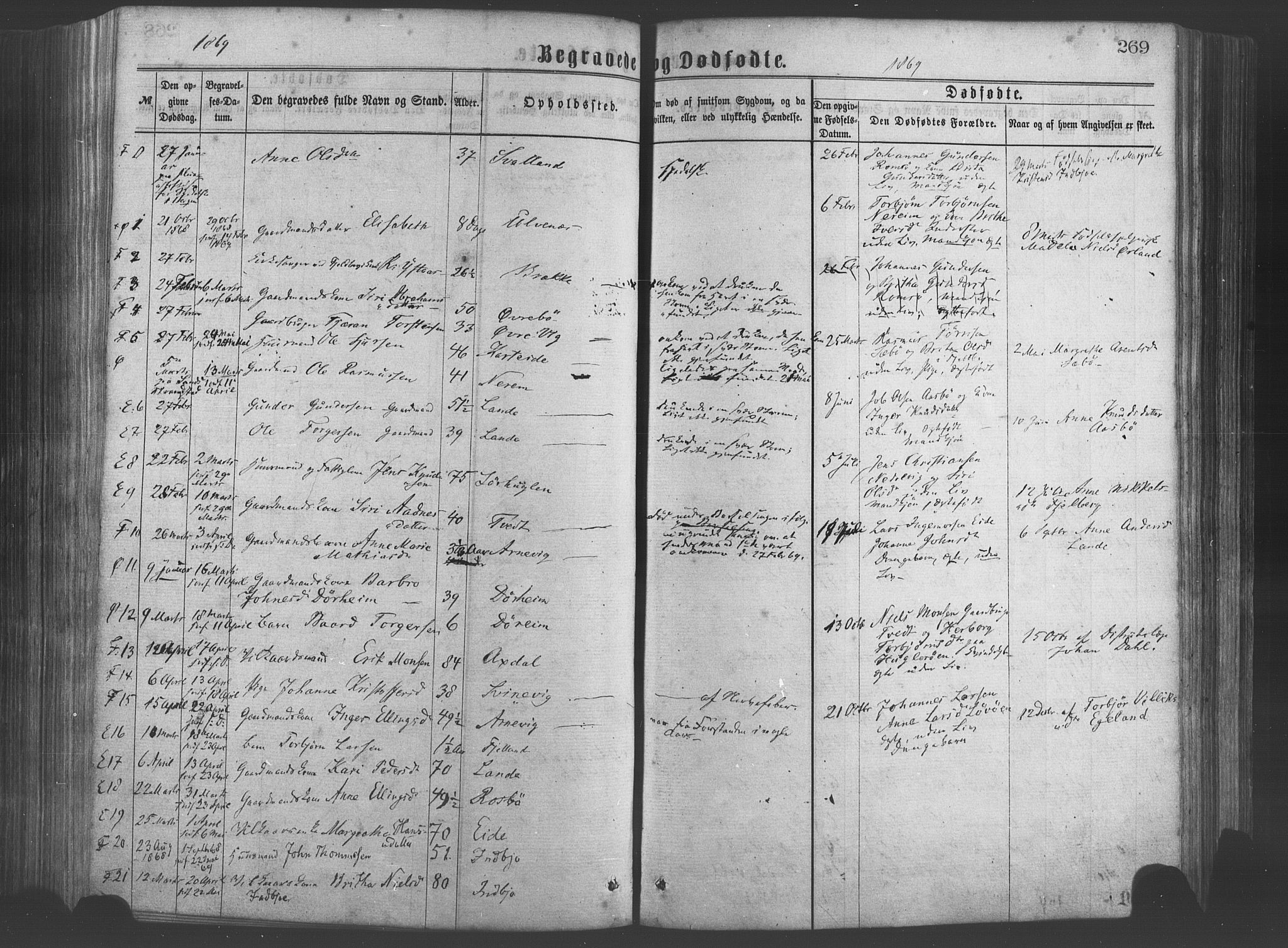 Fjelberg sokneprestembete, SAB/A-75201/H/Haa: Parish register (official) no. A 8, 1866-1879, p. 269