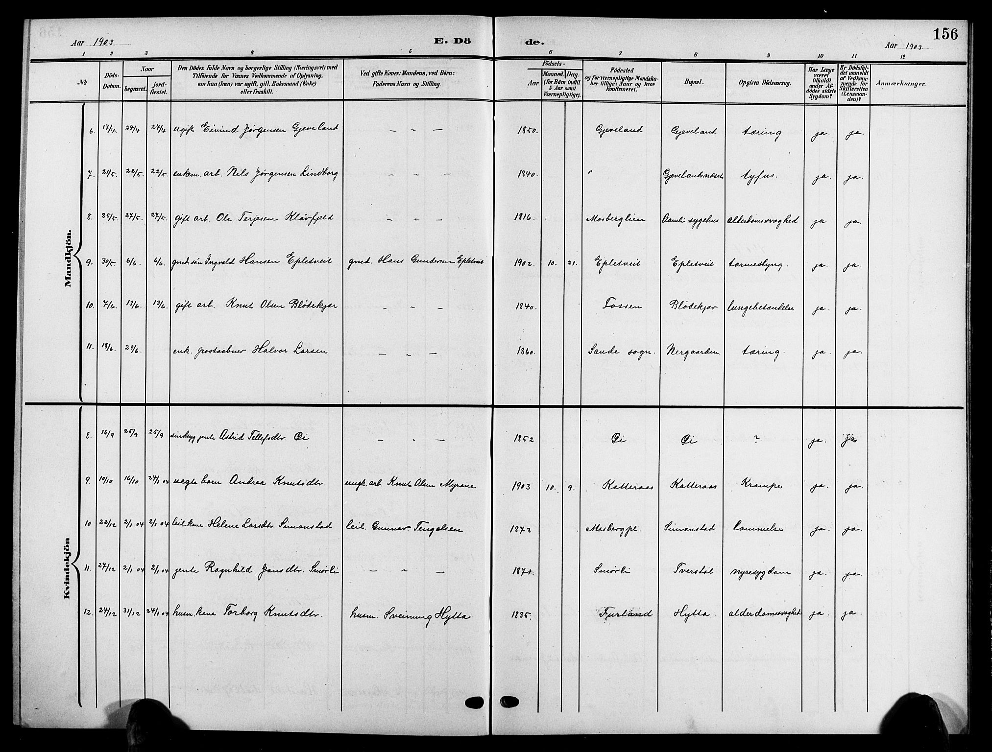 Åmli sokneprestkontor, AV/SAK-1111-0050/F/Fb/Fbc/L0005: Parish register (copy) no. B 5, 1903-1916, p. 156