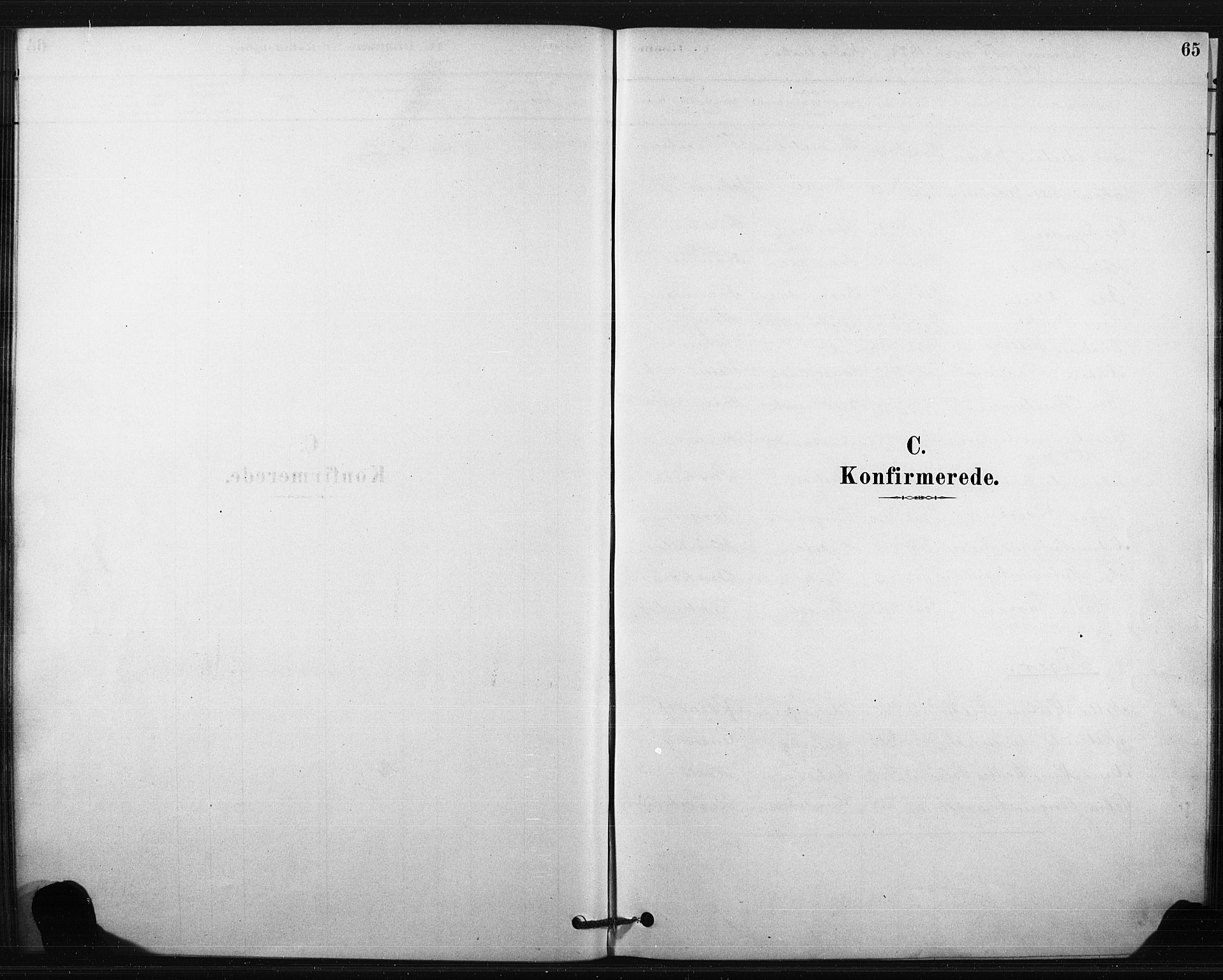 Eiker kirkebøker, AV/SAKO-A-4/F/Fc/L0001: Parish register (official) no. III 1, 1878-1889, p. 65