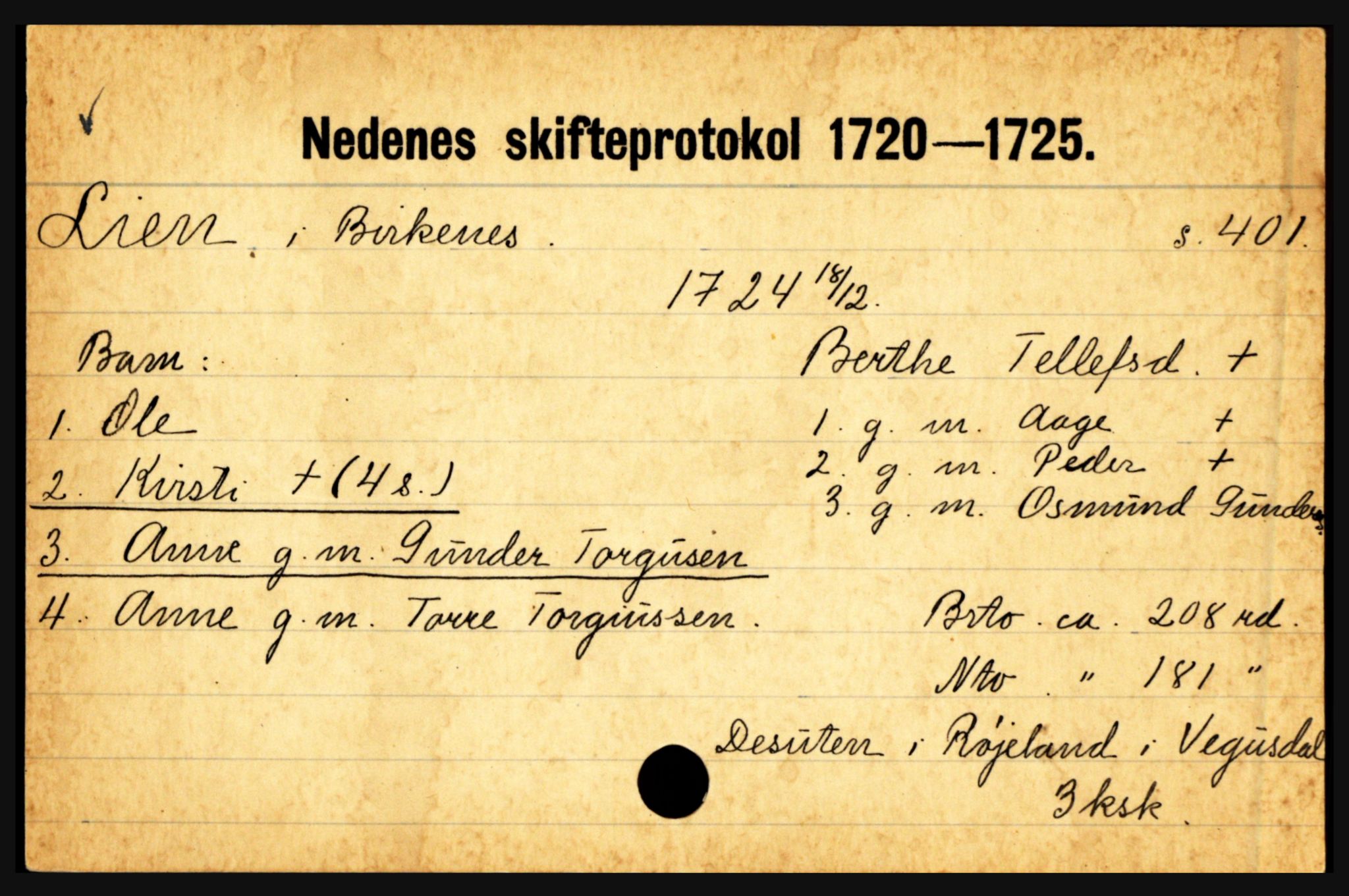 Nedenes sorenskriveri før 1824, AV/SAK-1221-0007/H, p. 17289